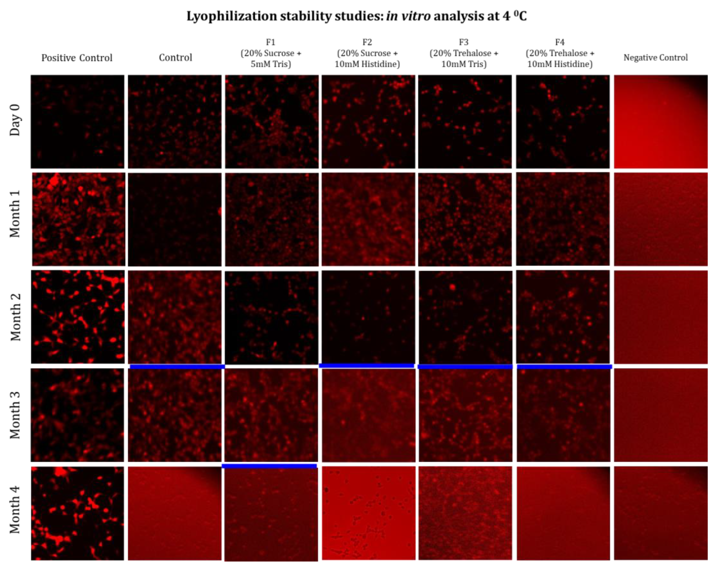 Preprints 192014 g007