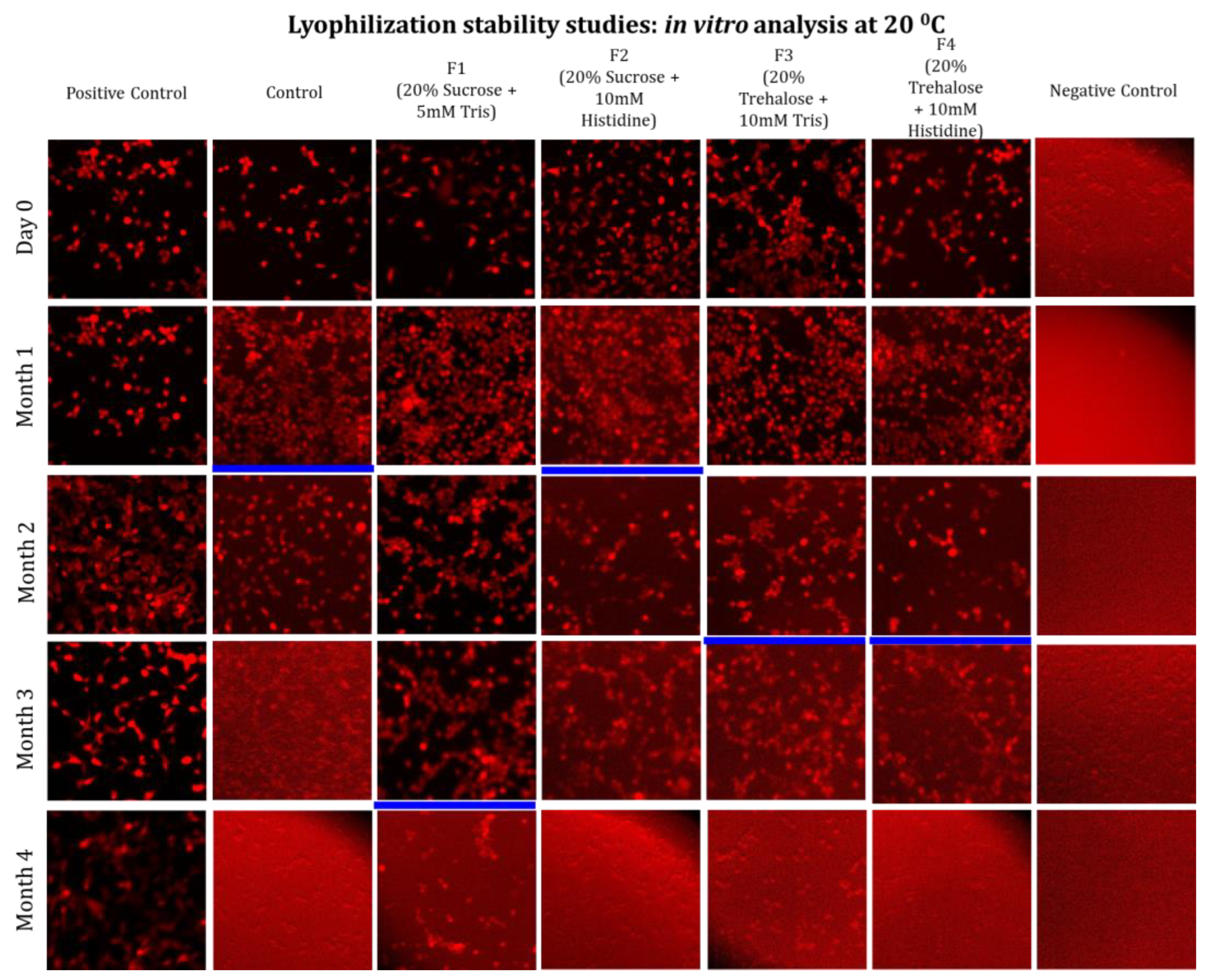 Preprints 192014 g008