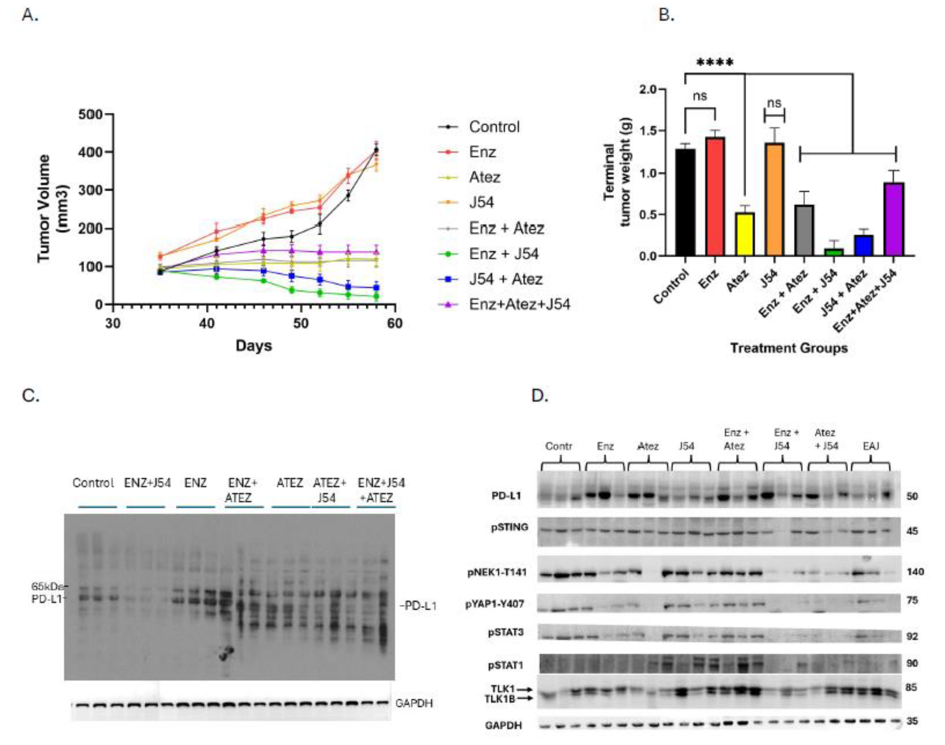 Preprints 168228 g001a