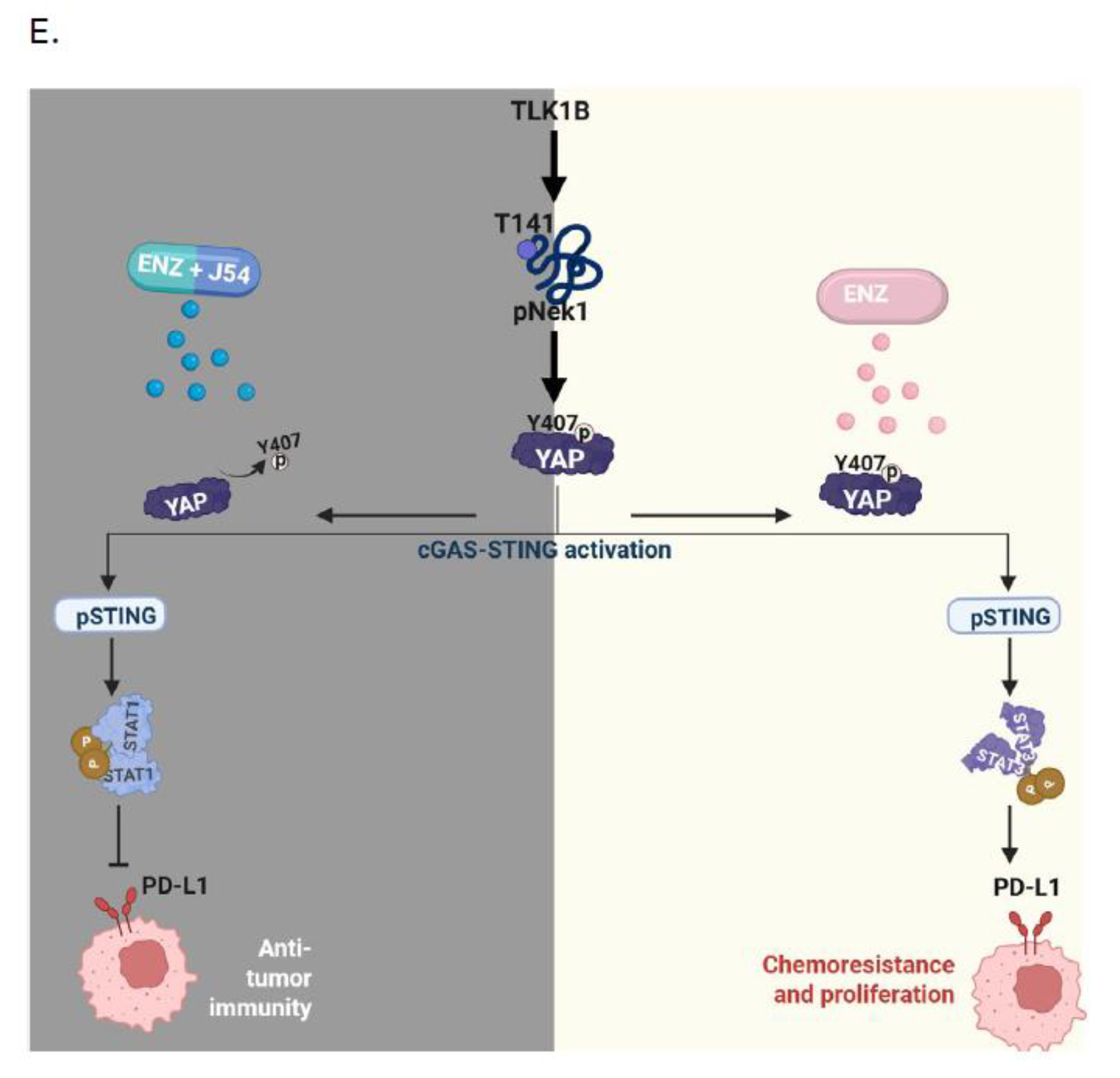 Preprints 168228 g001b