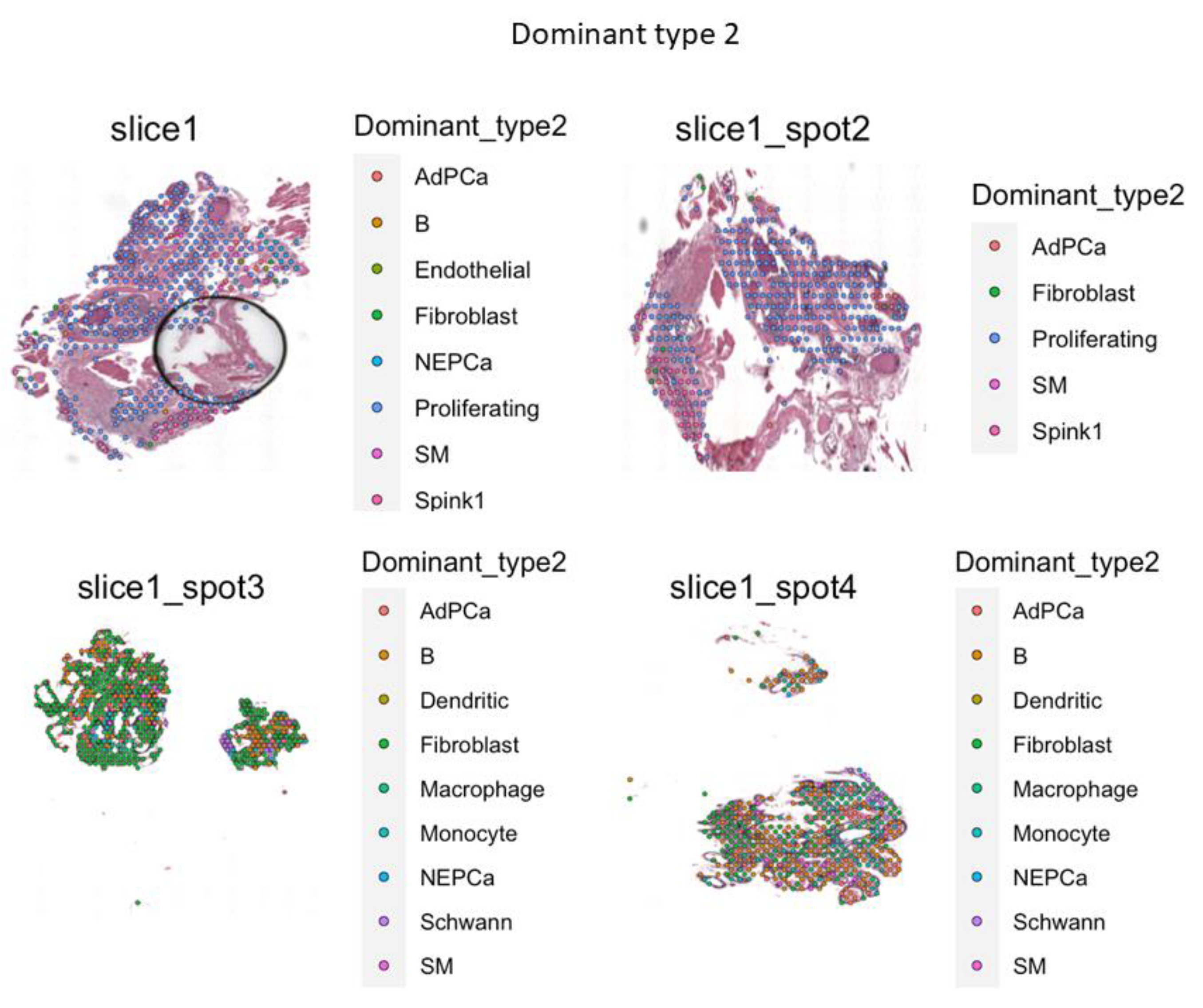 Preprints 168228 g007