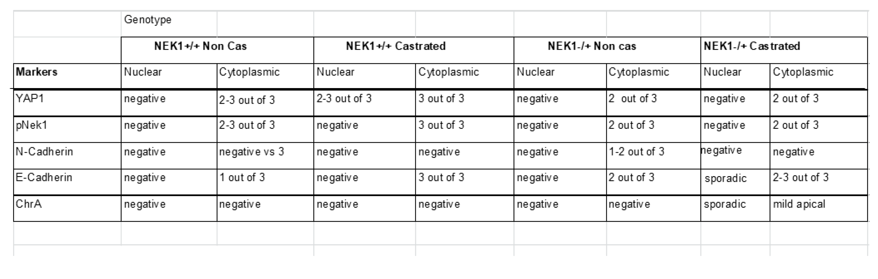 Preprints 168228 i001