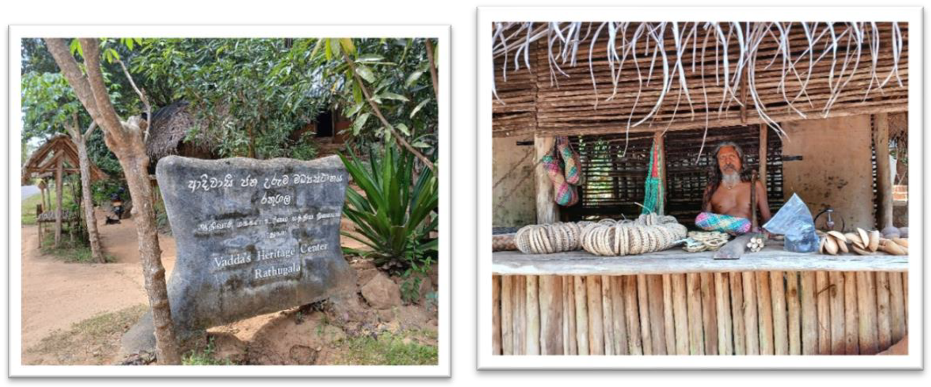 Preprints 158279 g001