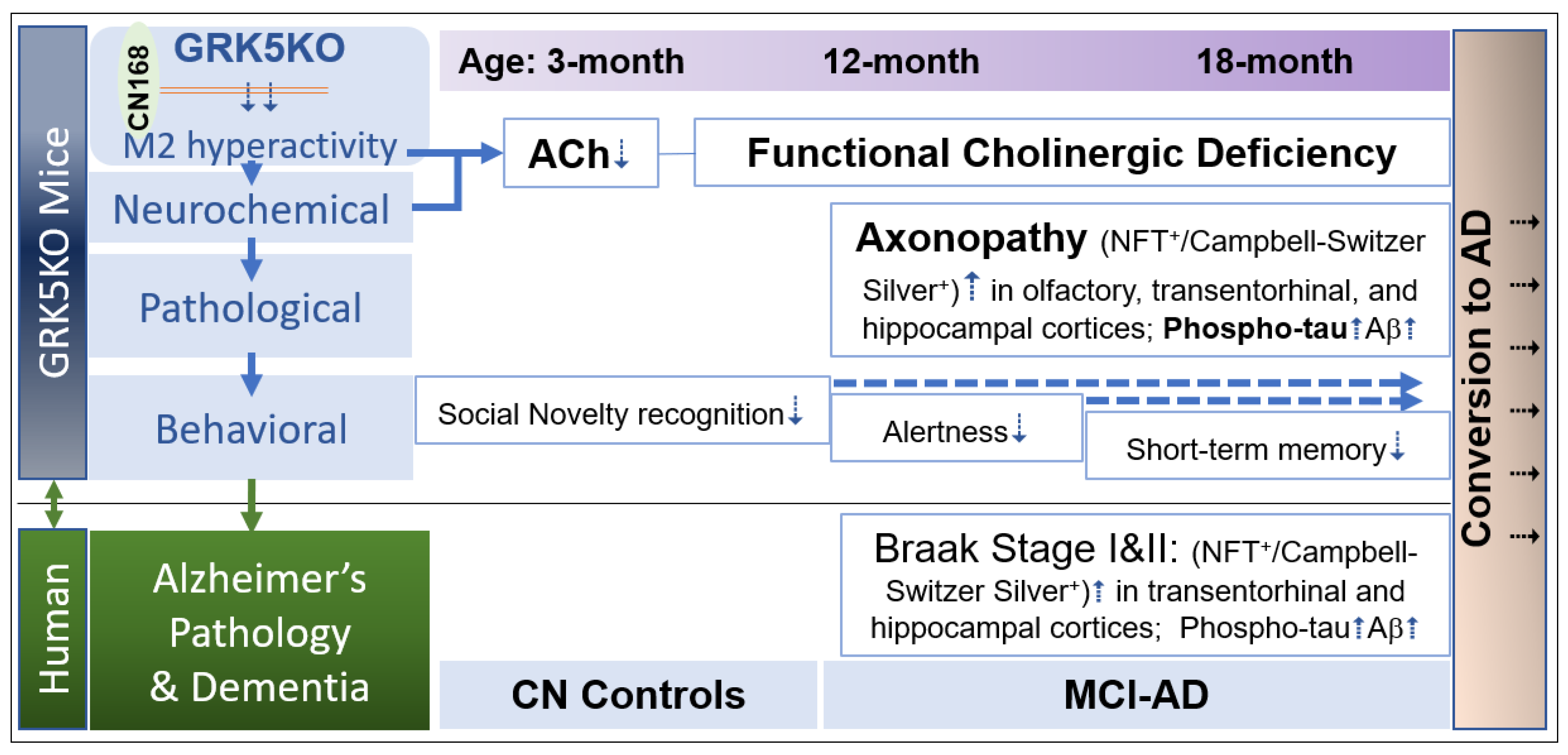 Preprints 103718 g001
