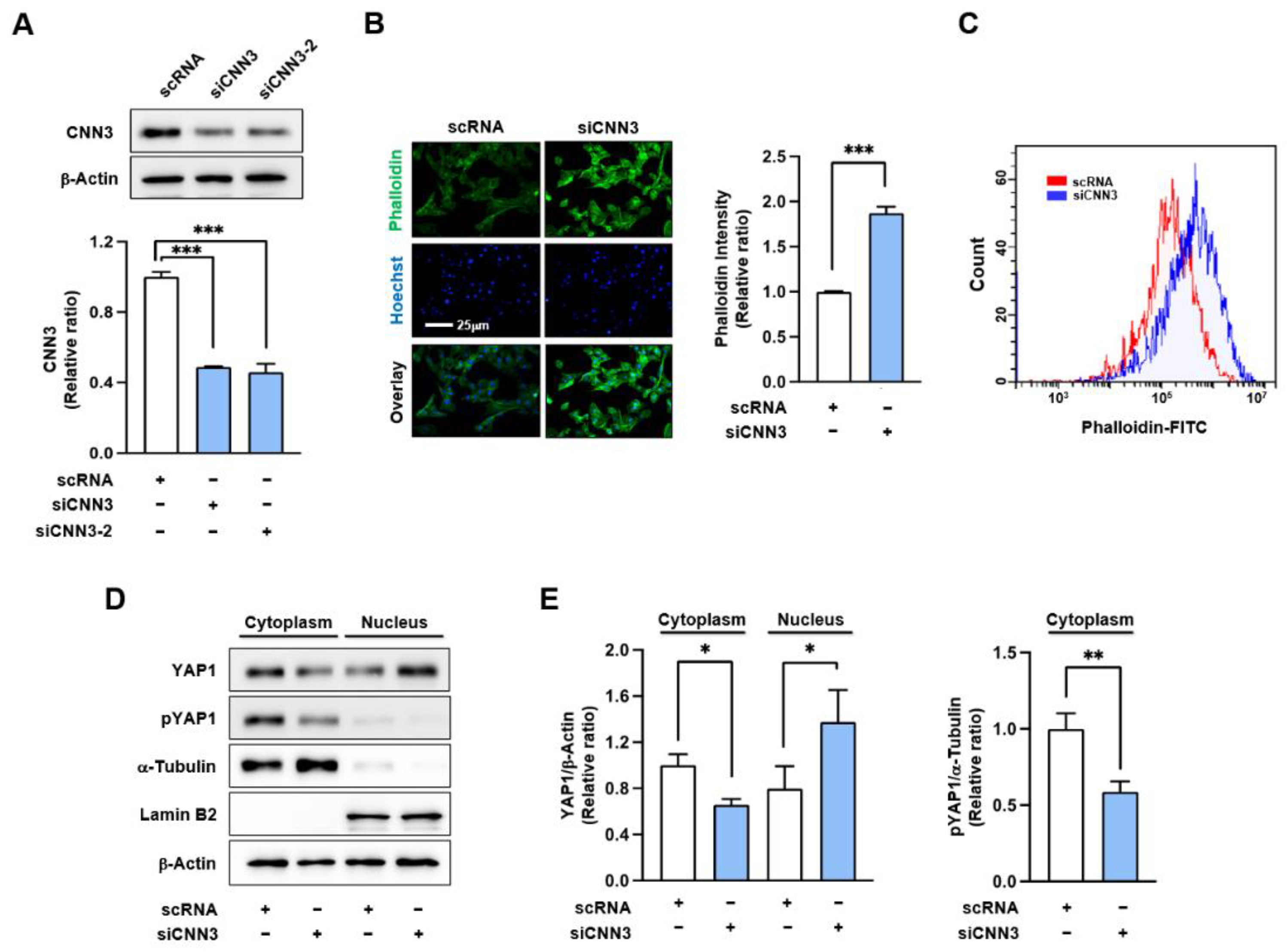 Preprints 142796 g002