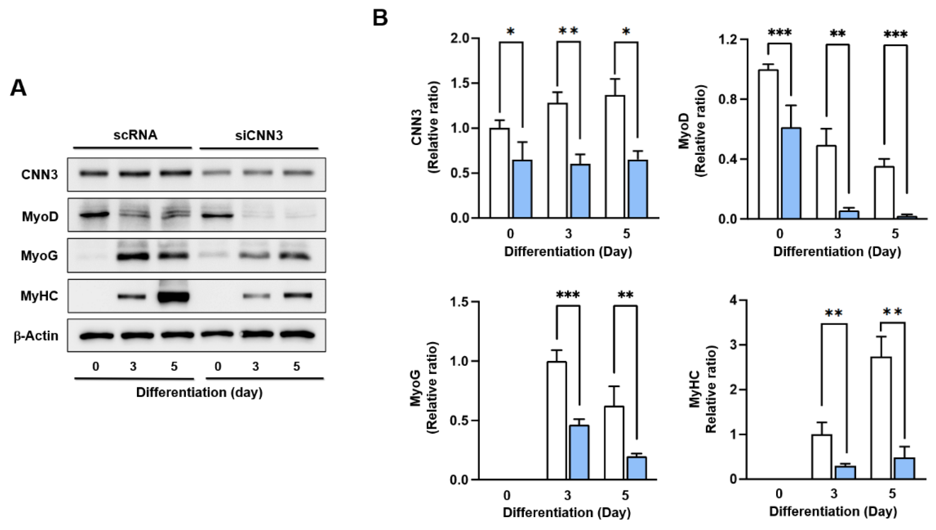 Preprints 142796 g004