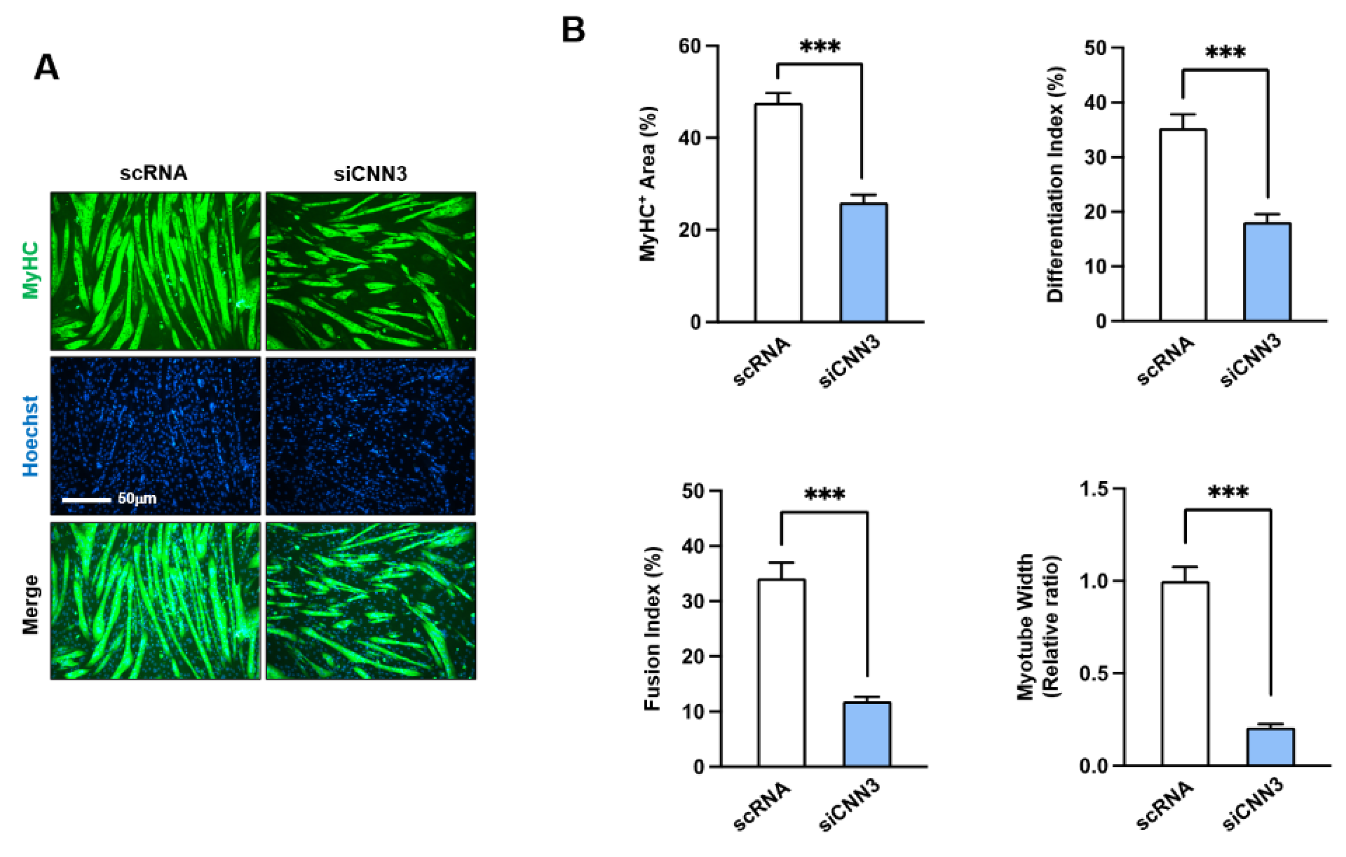 Preprints 142796 g005