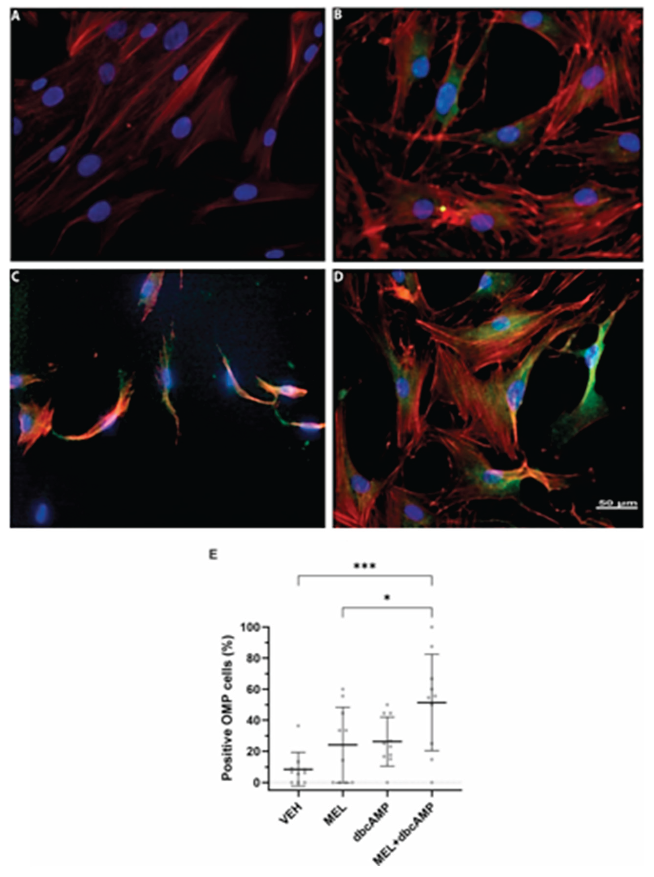 Preprints 172681 g001