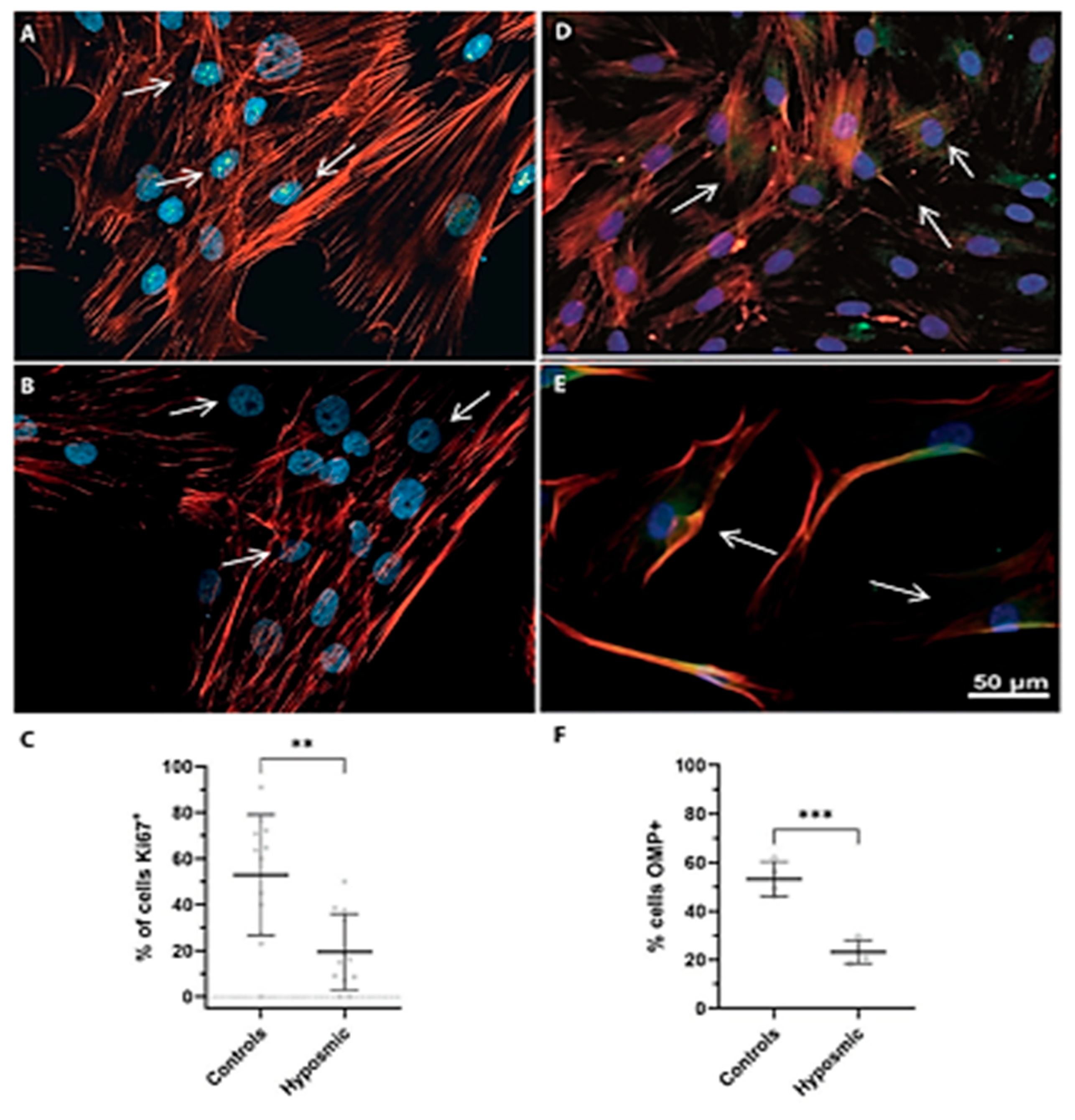 Preprints 172681 g007