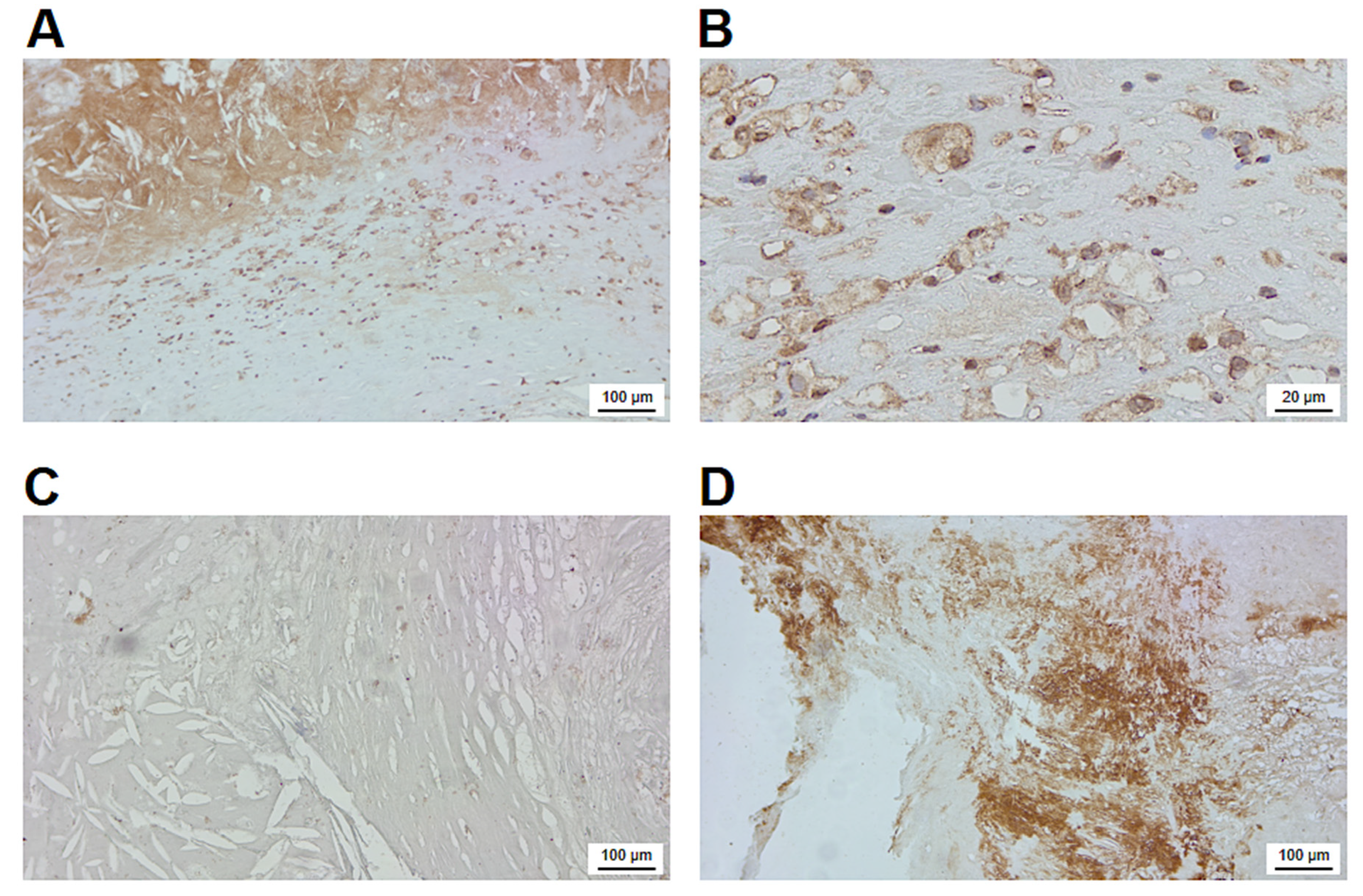 Preprints 68039 g004