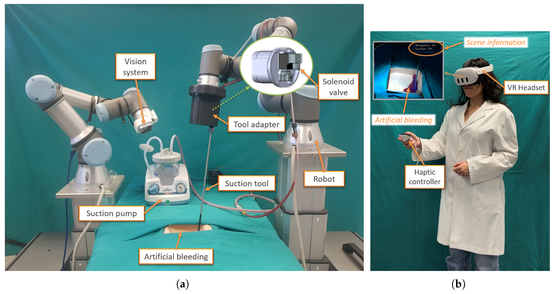 Preprints 206149 g006