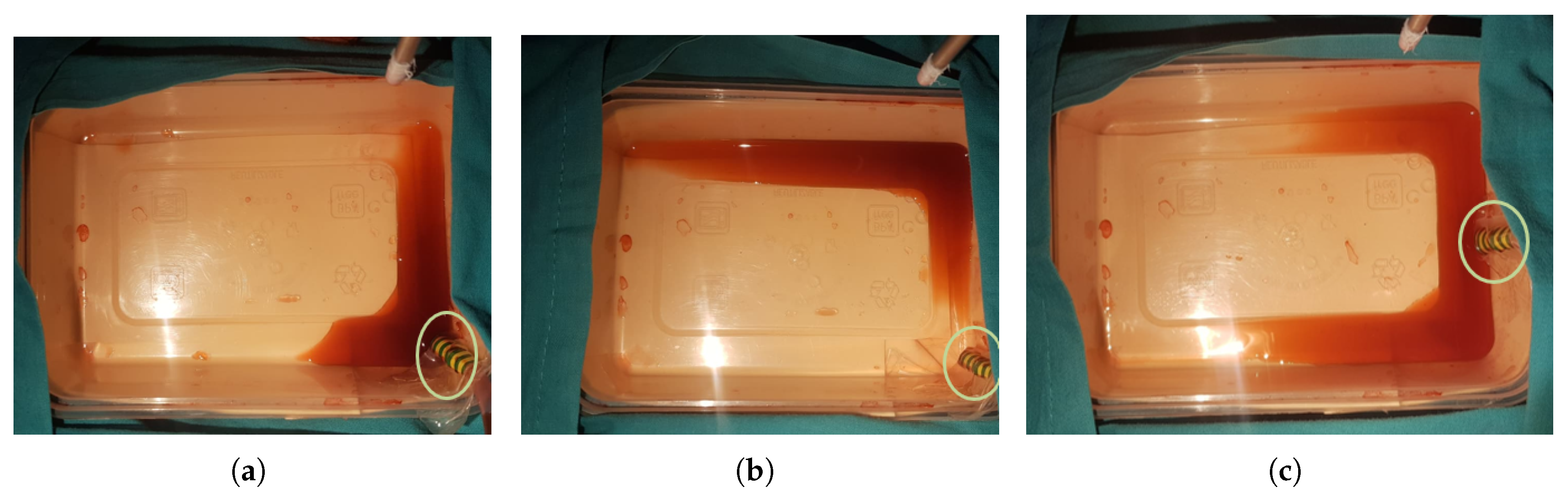 Preprints 206149 g007