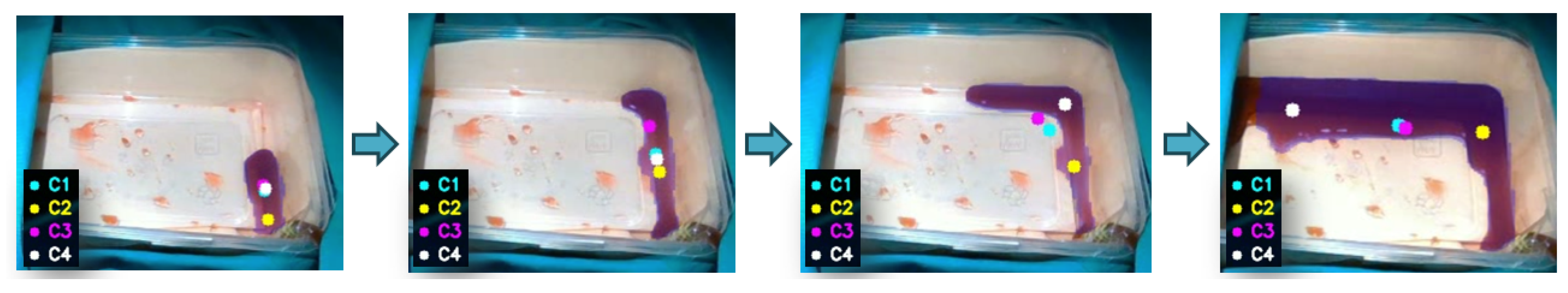 Preprints 206149 g008