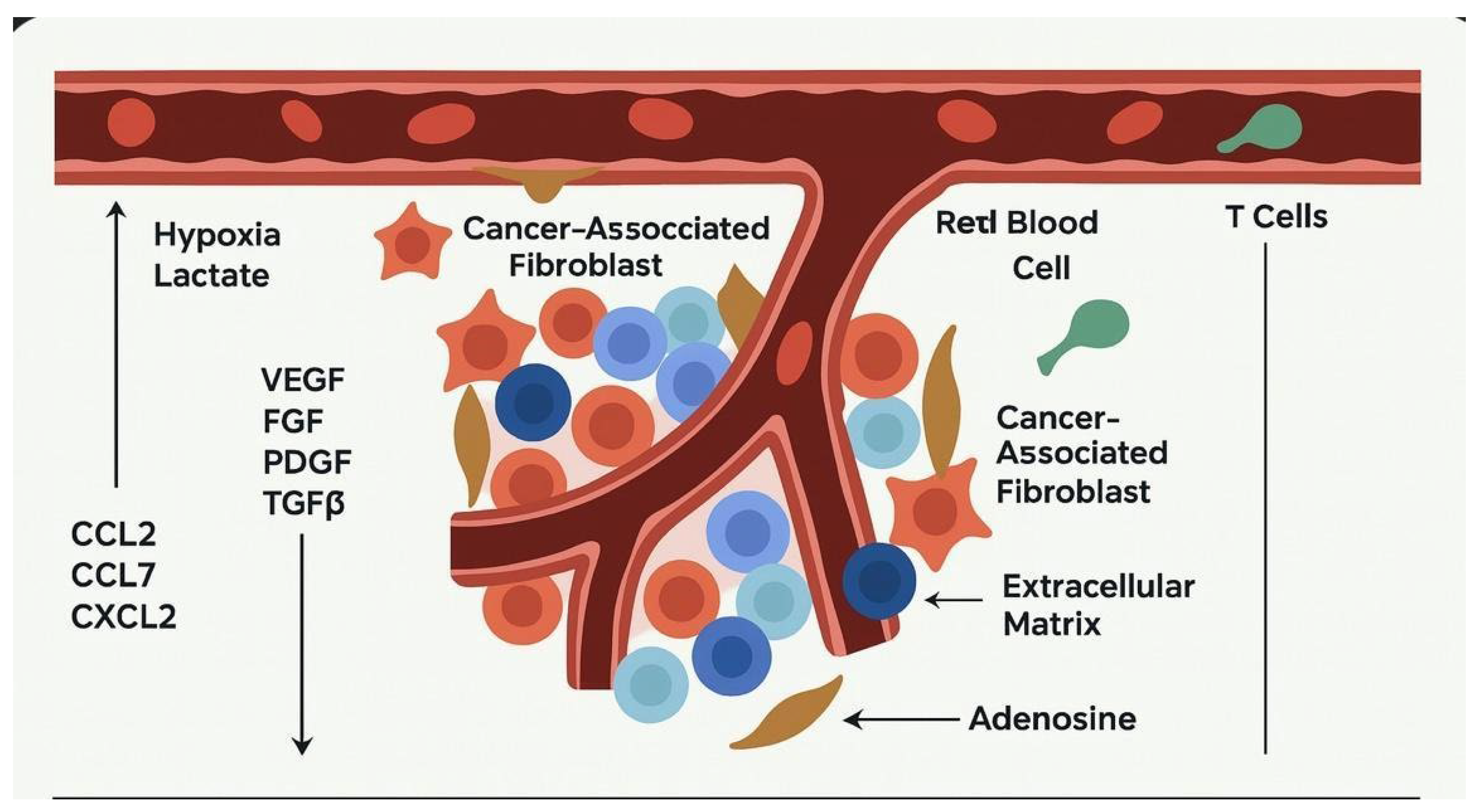 Preprints 169927 g001
