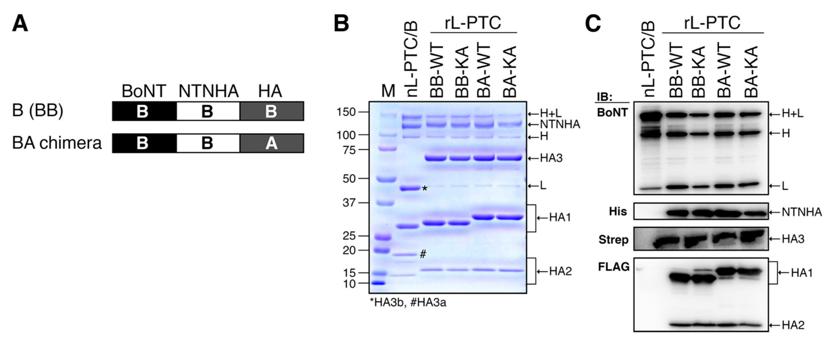 Preprints 167023 g002