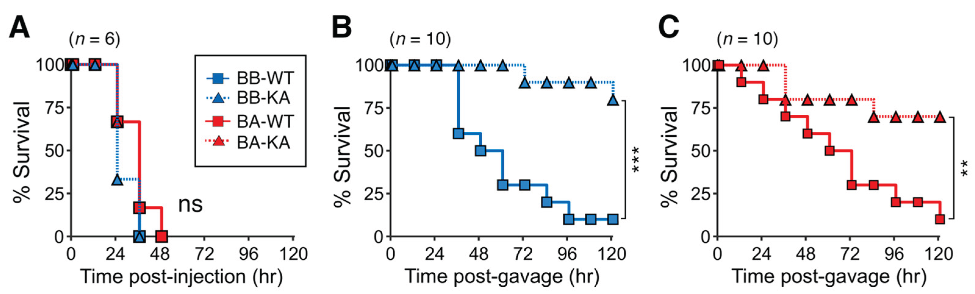 Preprints 167023 g005