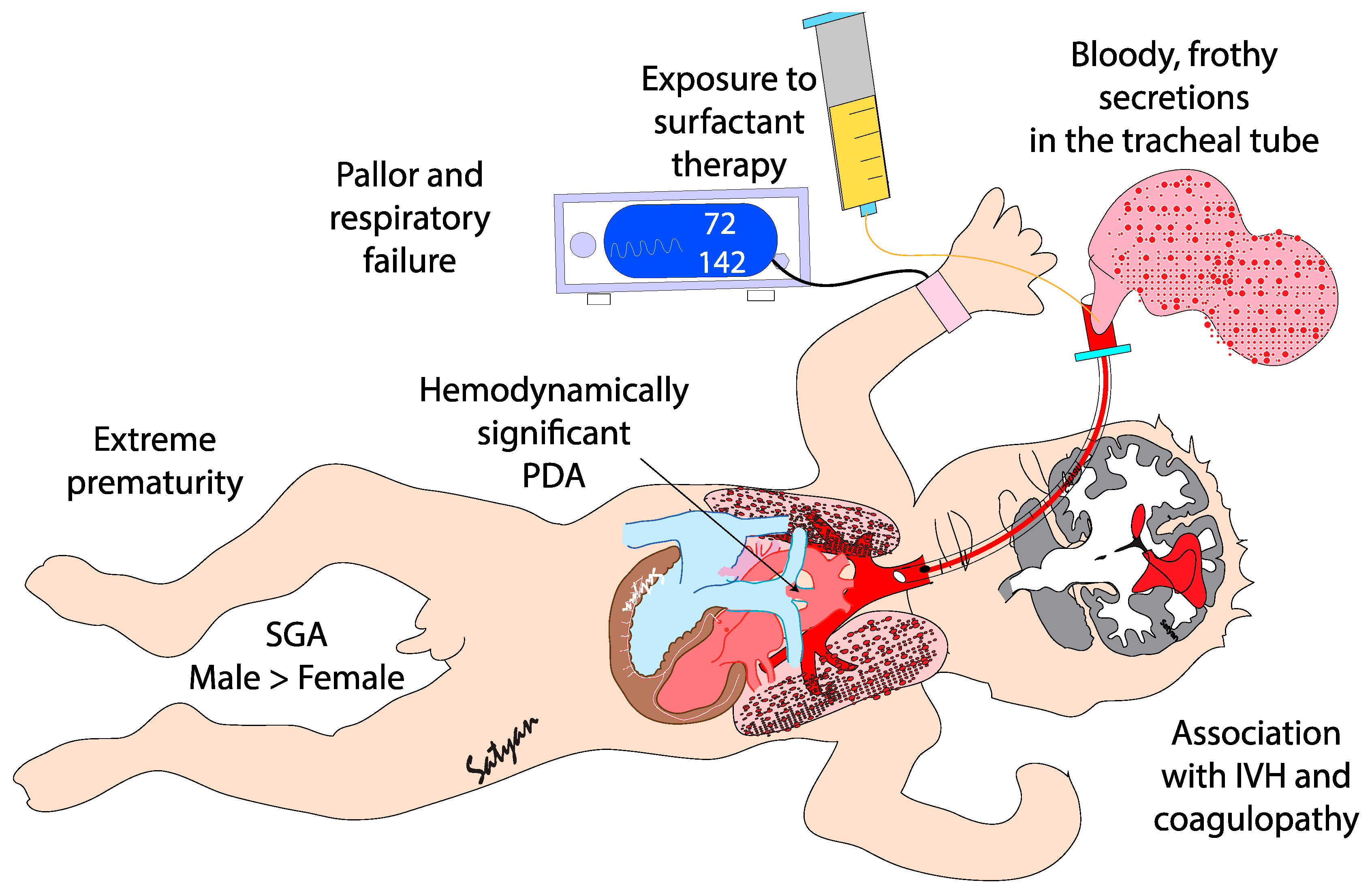 Preprints 165084 g001