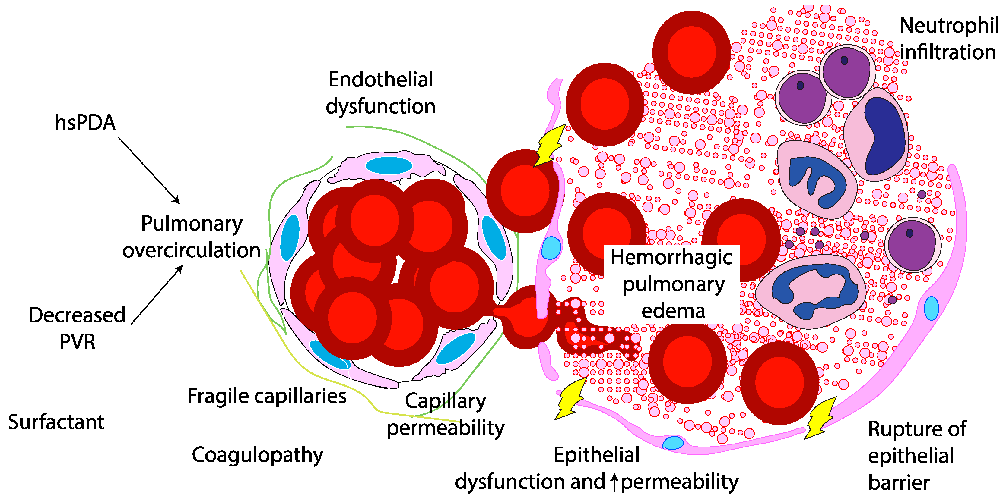 Preprints 165084 g002