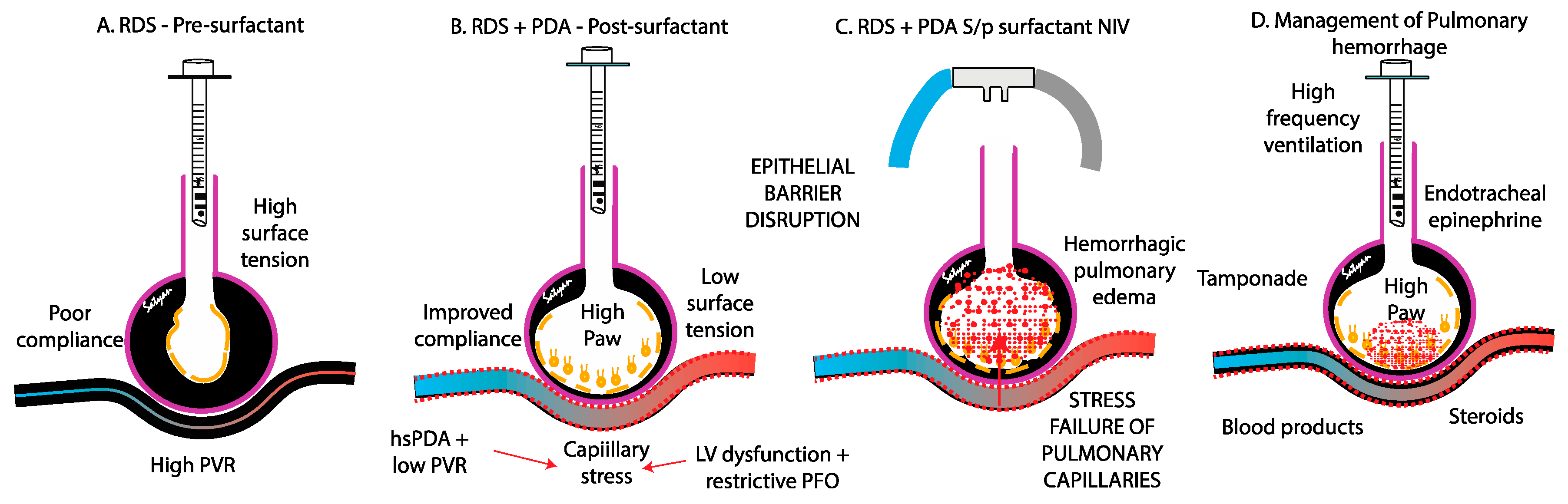 Preprints 165084 g003