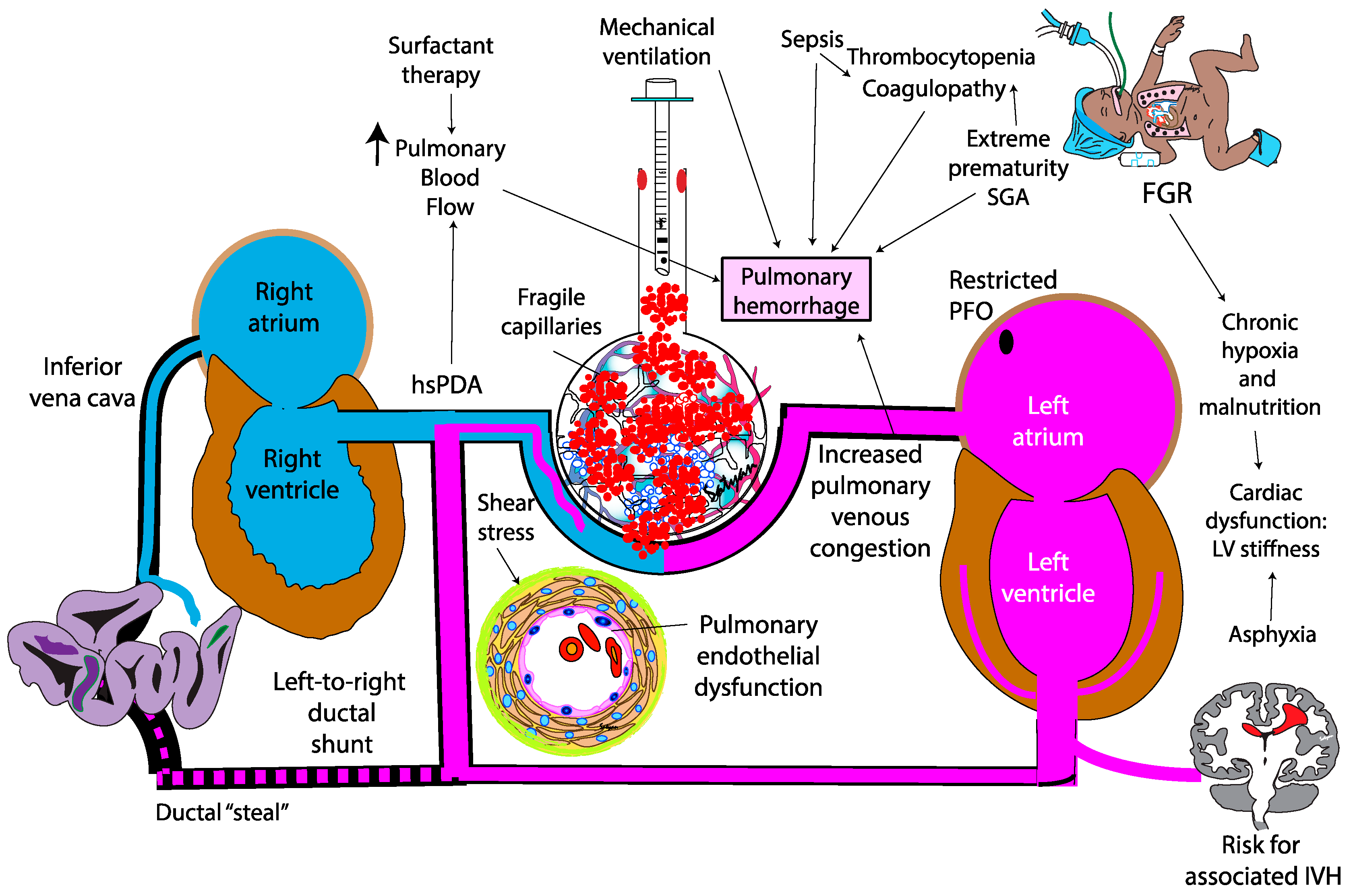 Preprints 165084 g004