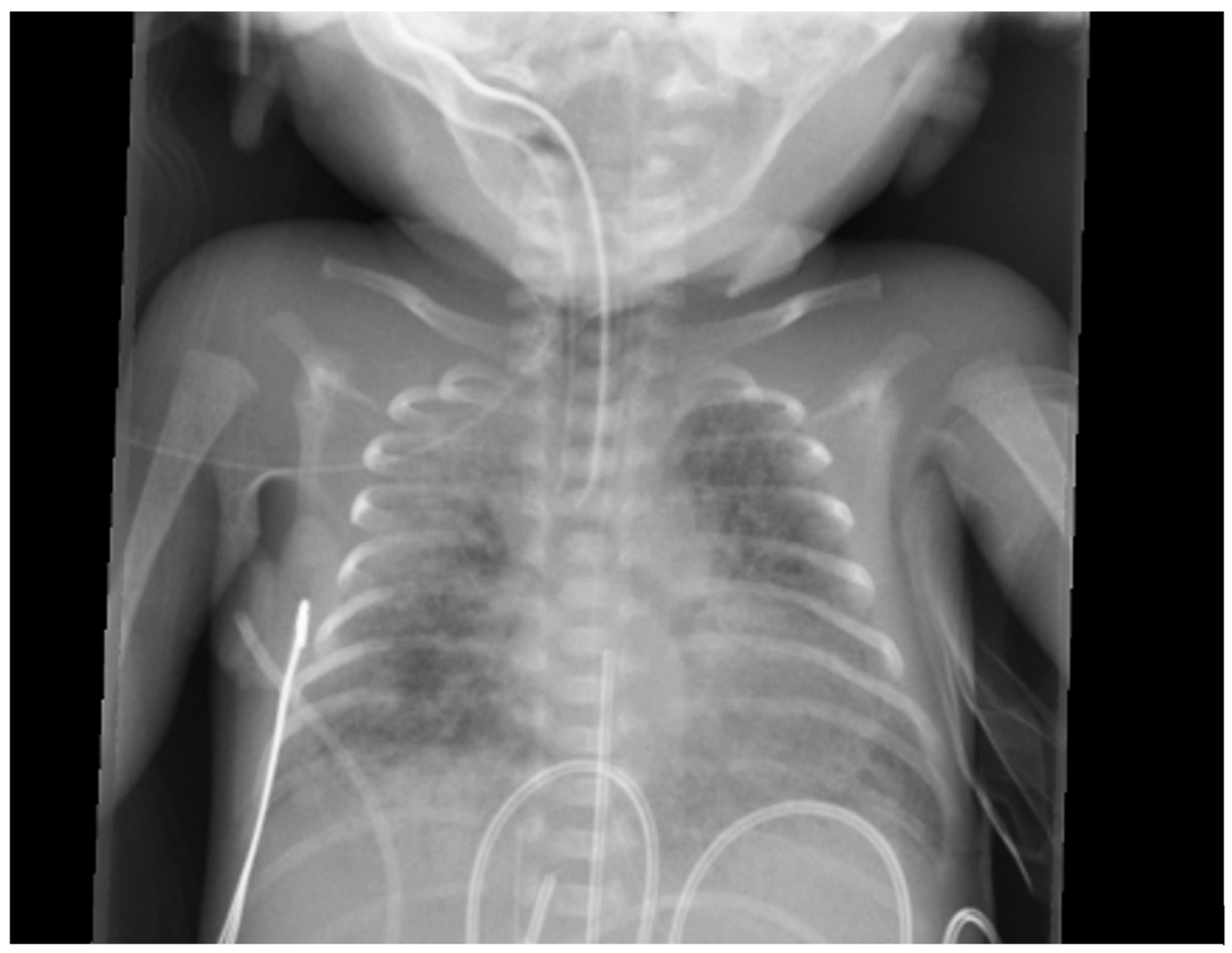 Preprints 165084 g005