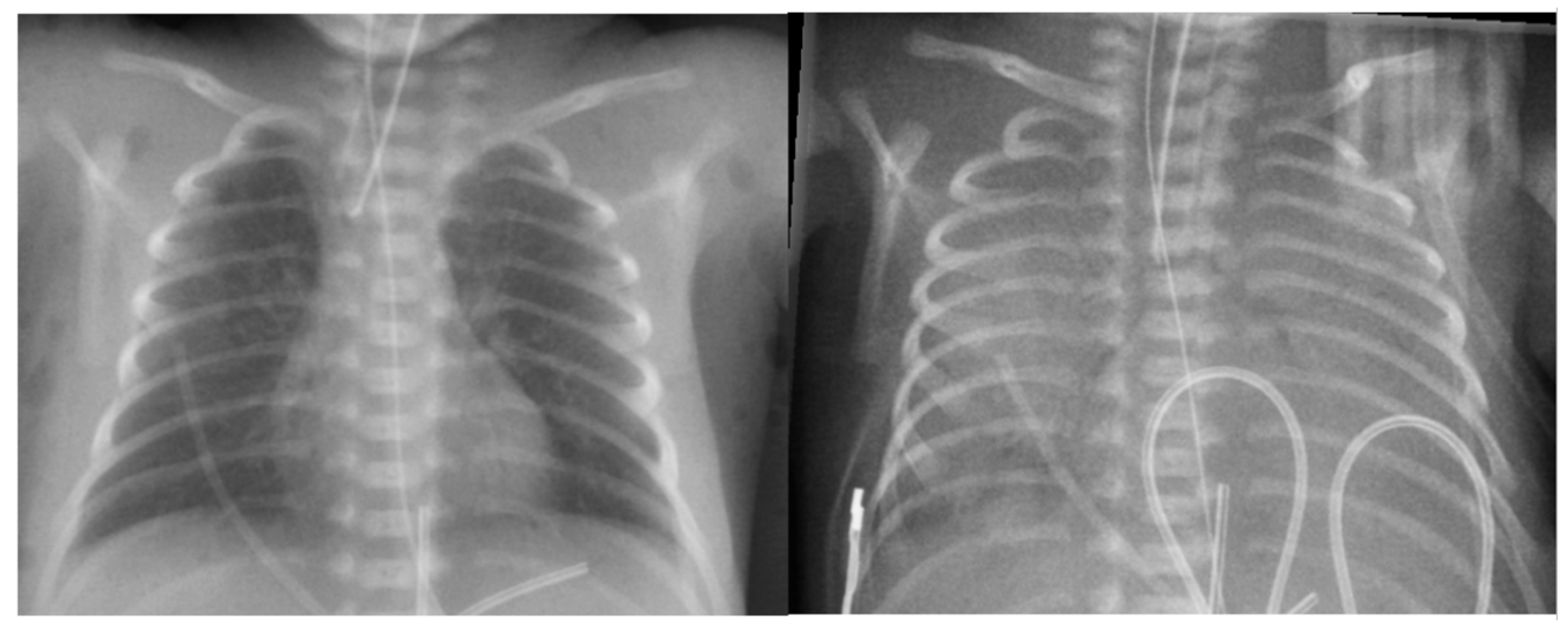 Preprints 165084 g006