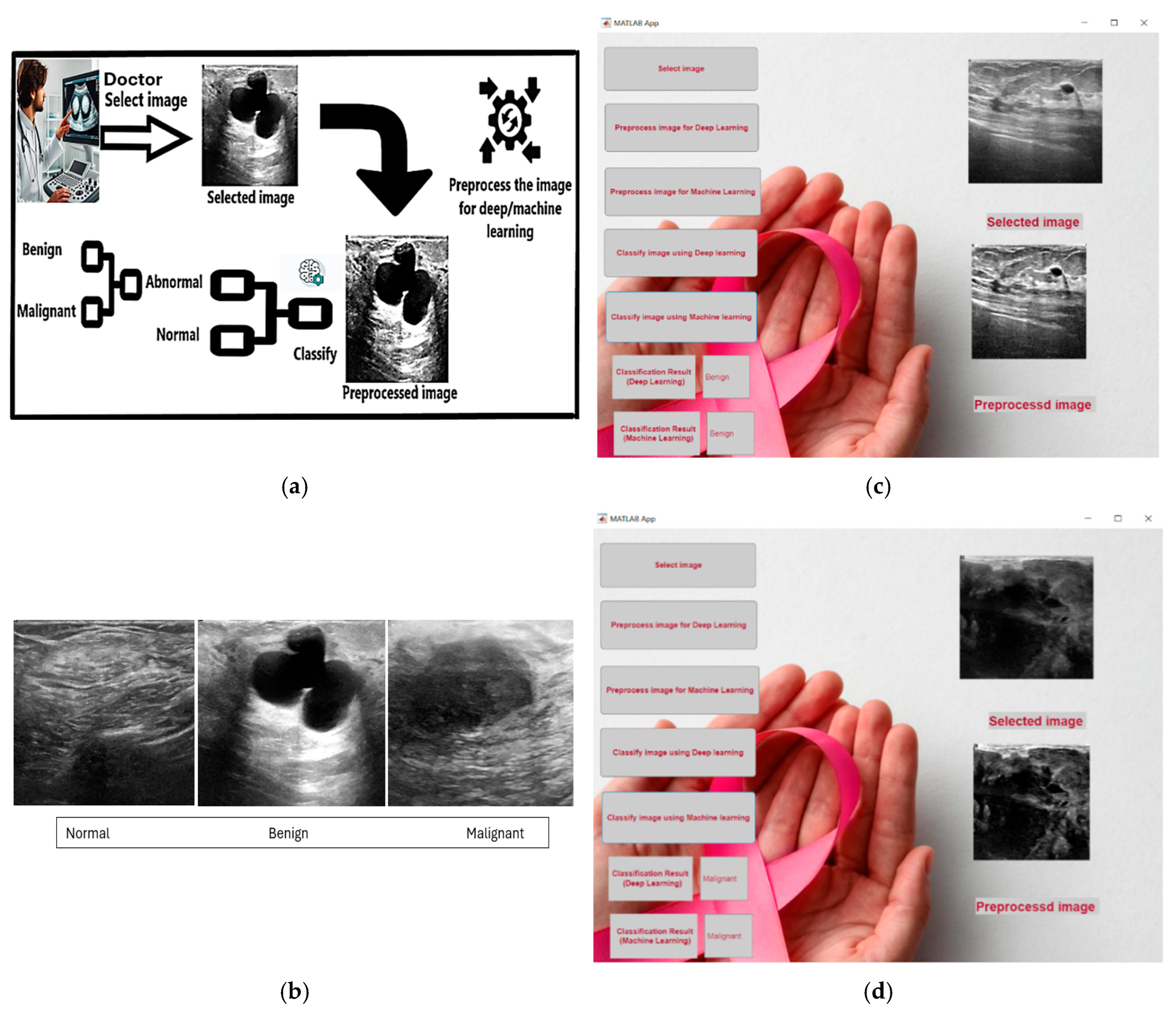 Preprints 150423 g001