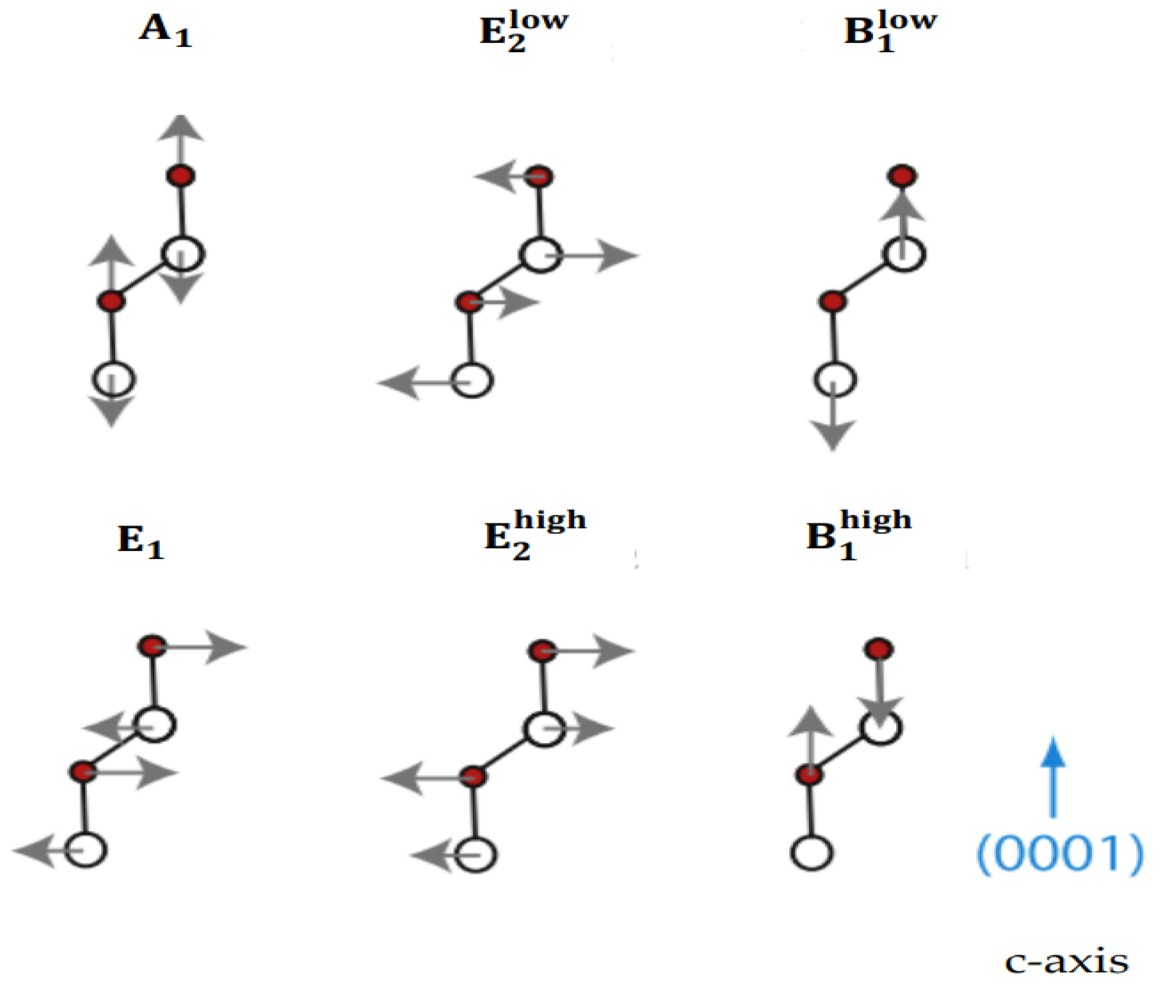 Preprints 154842 g003
