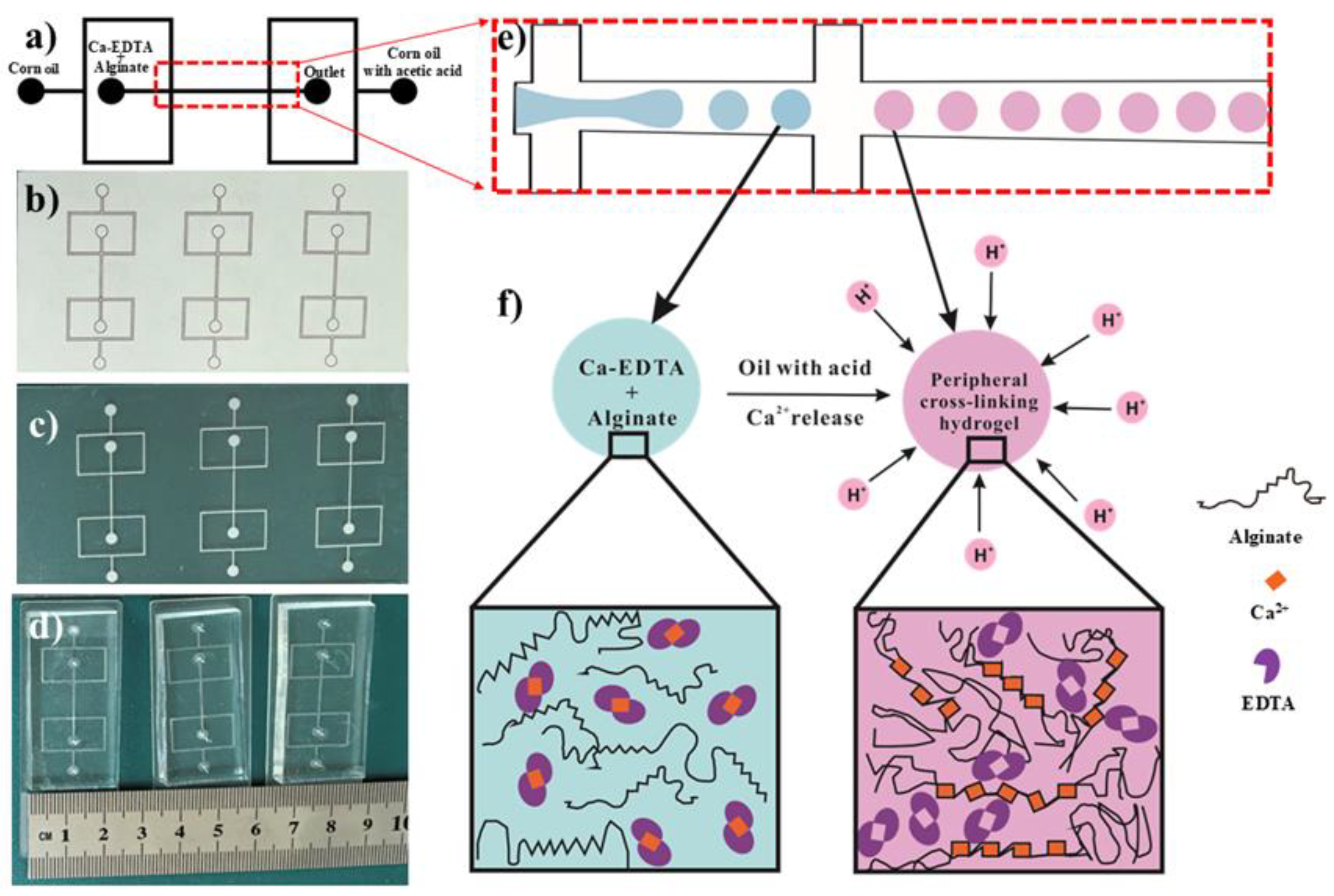 Preprints 161508 g001