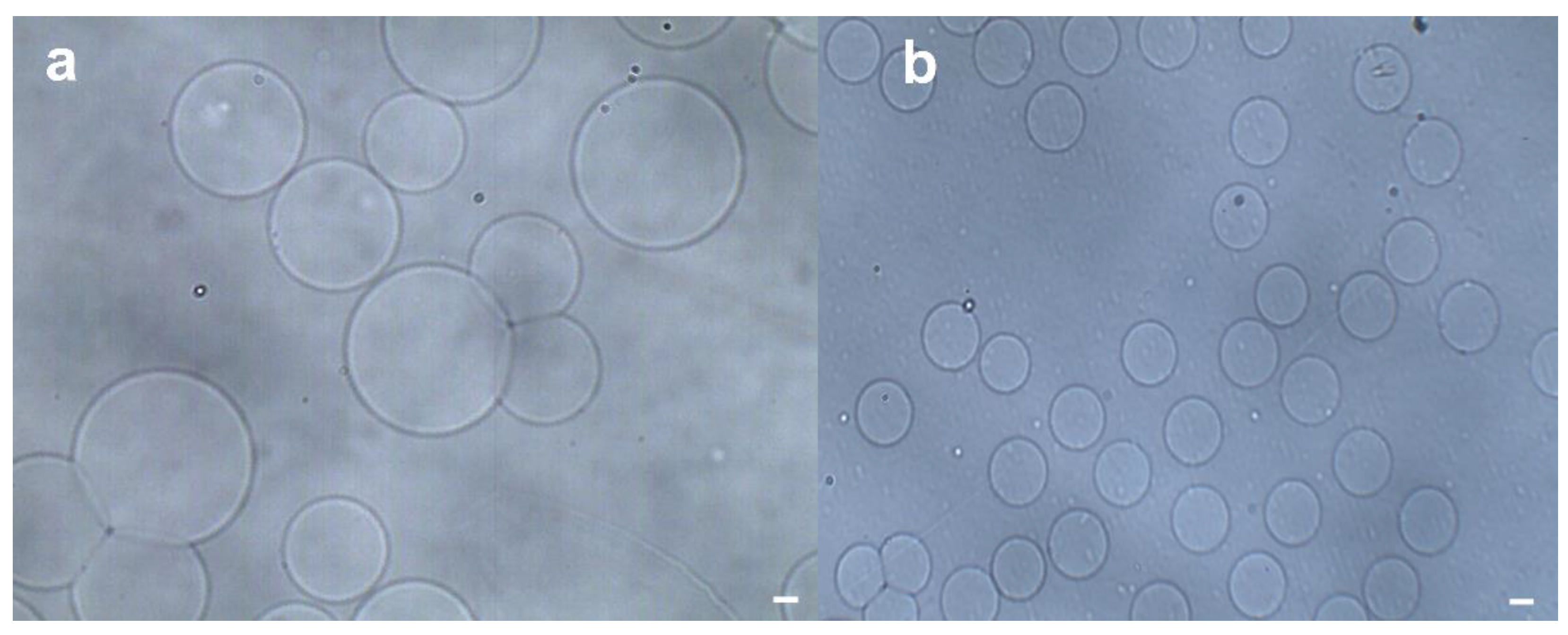 Preprints 161508 g002