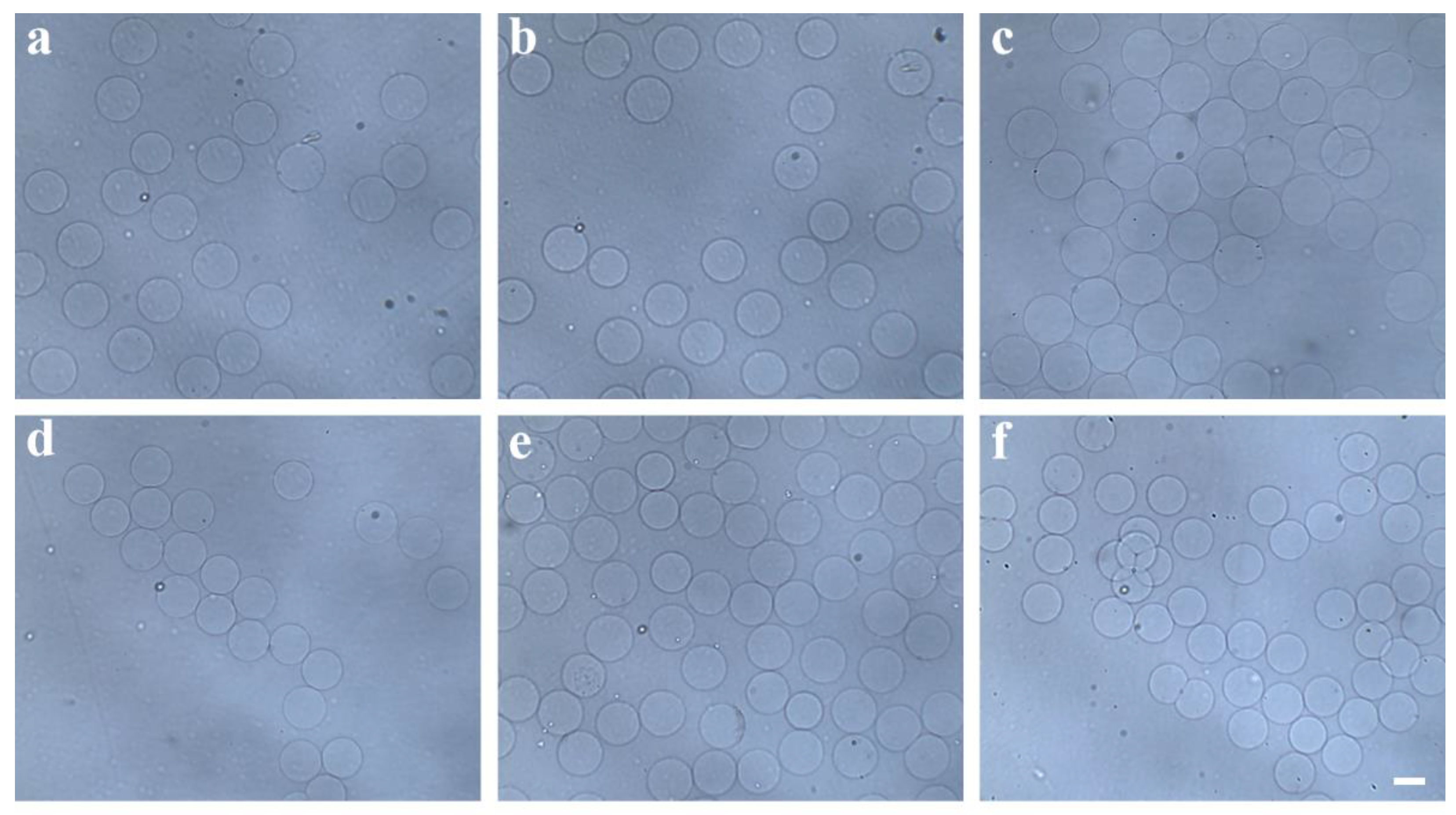 Preprints 161508 g003