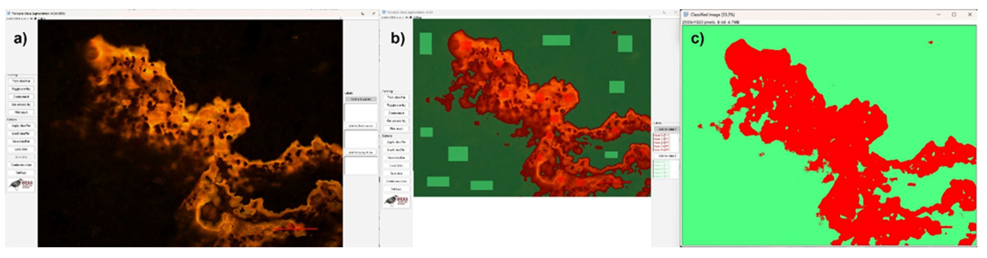 Preprints 204740 g004
