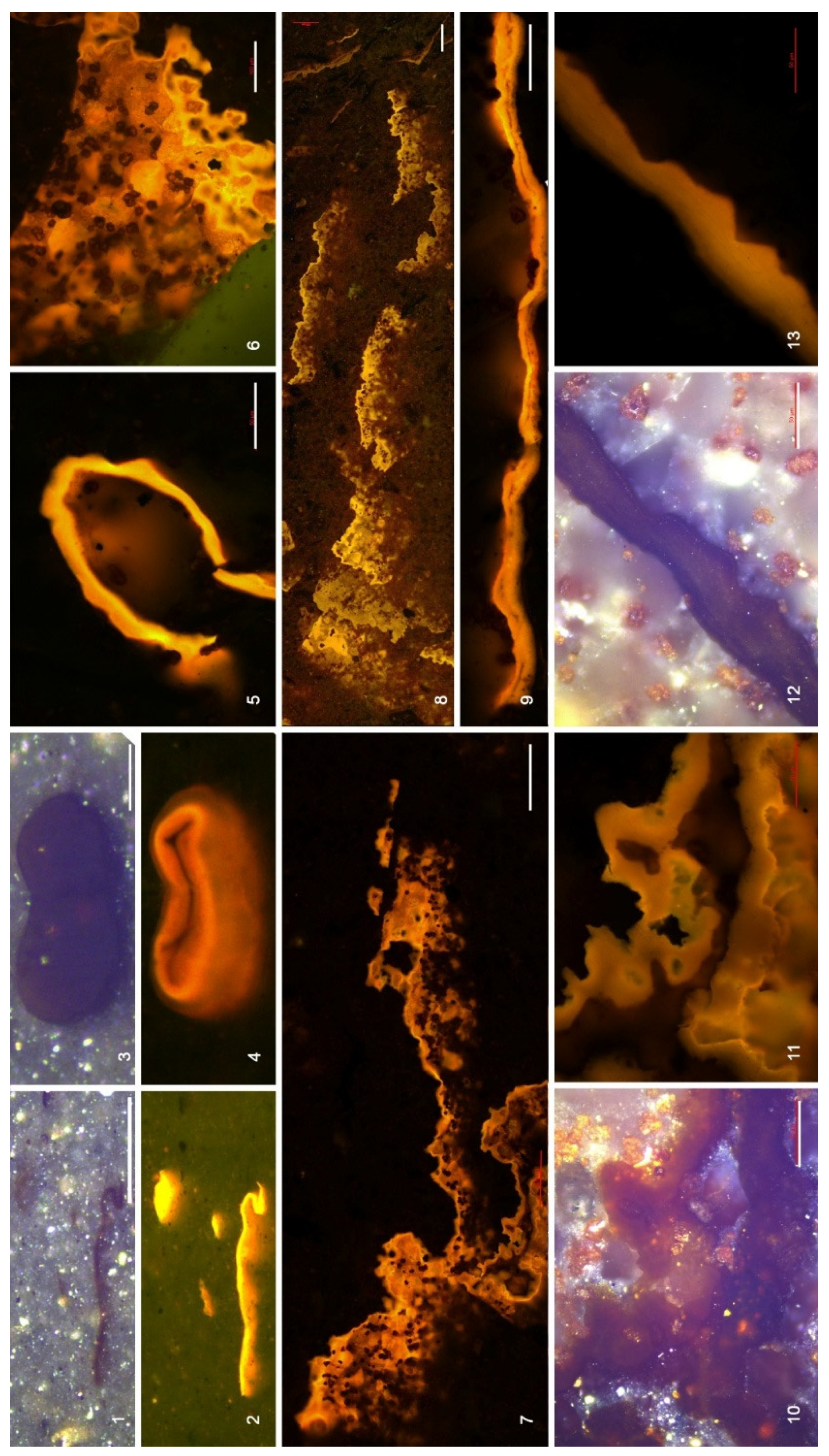 Preprints 204740 g007