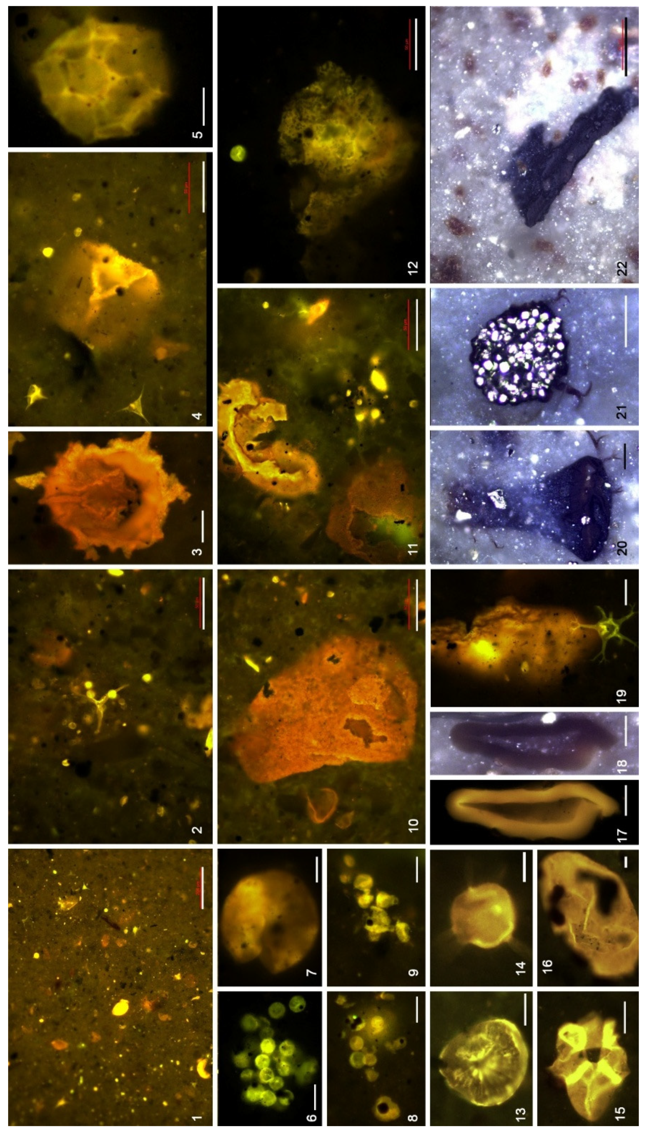Preprints 204740 g009