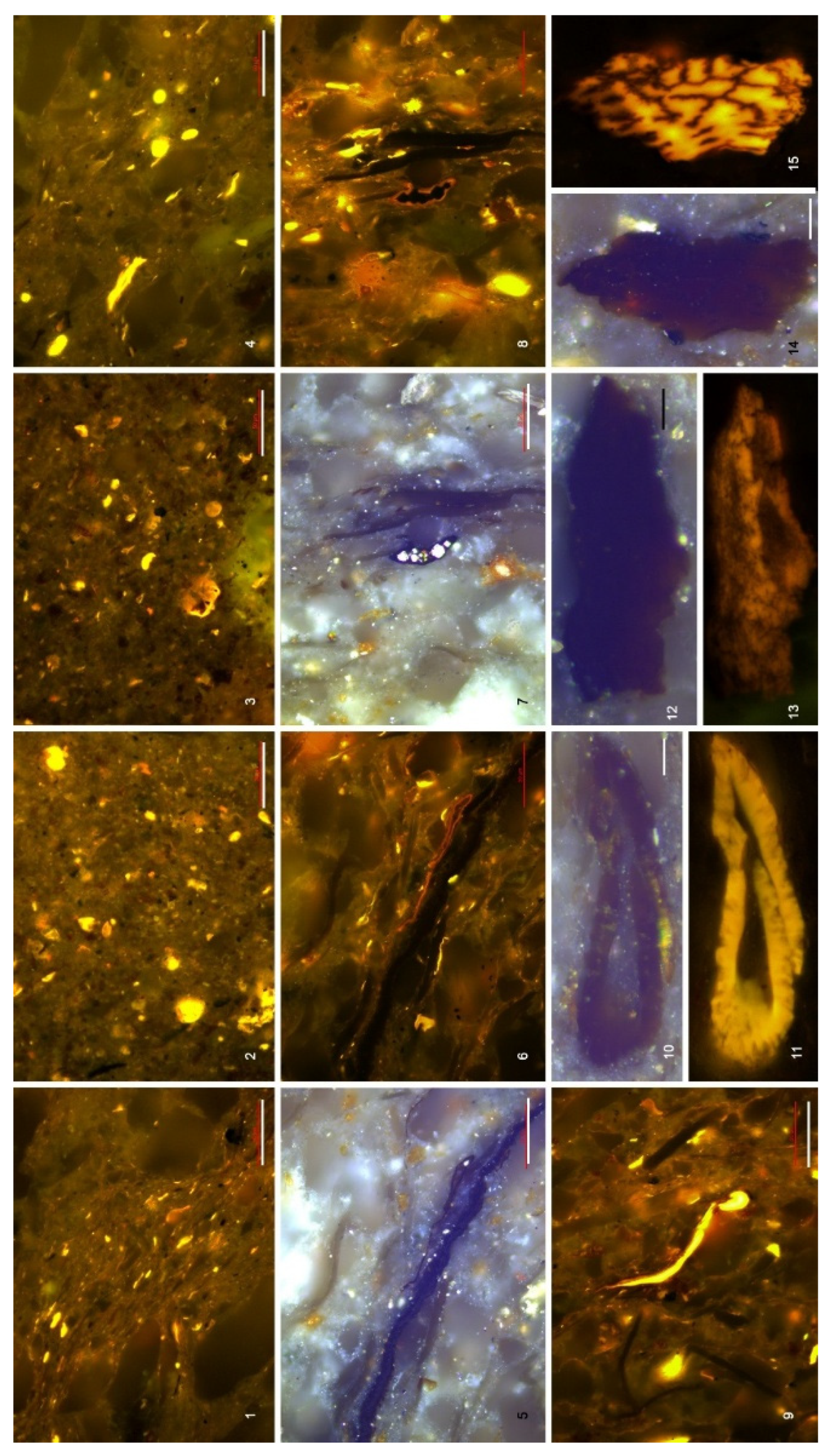 Preprints 204740 g010