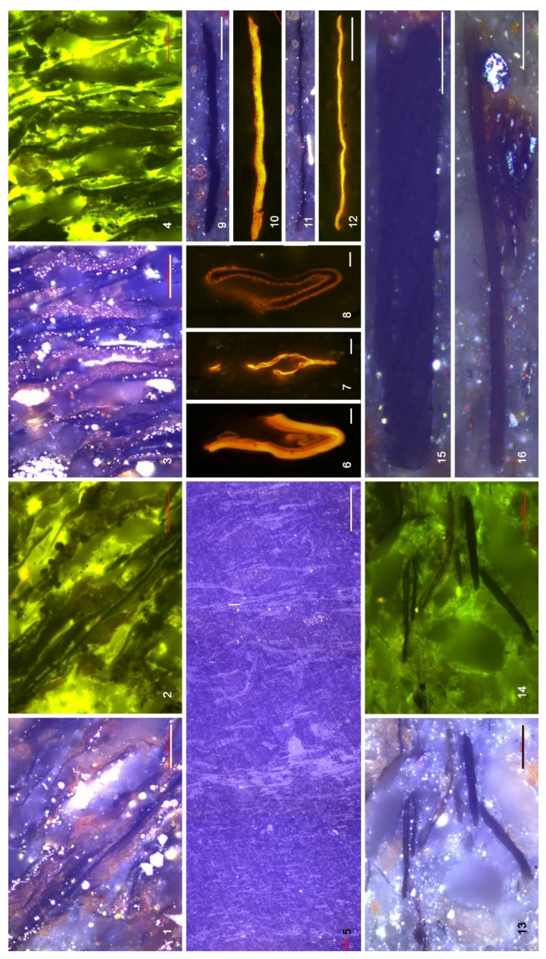 Preprints 204740 g012