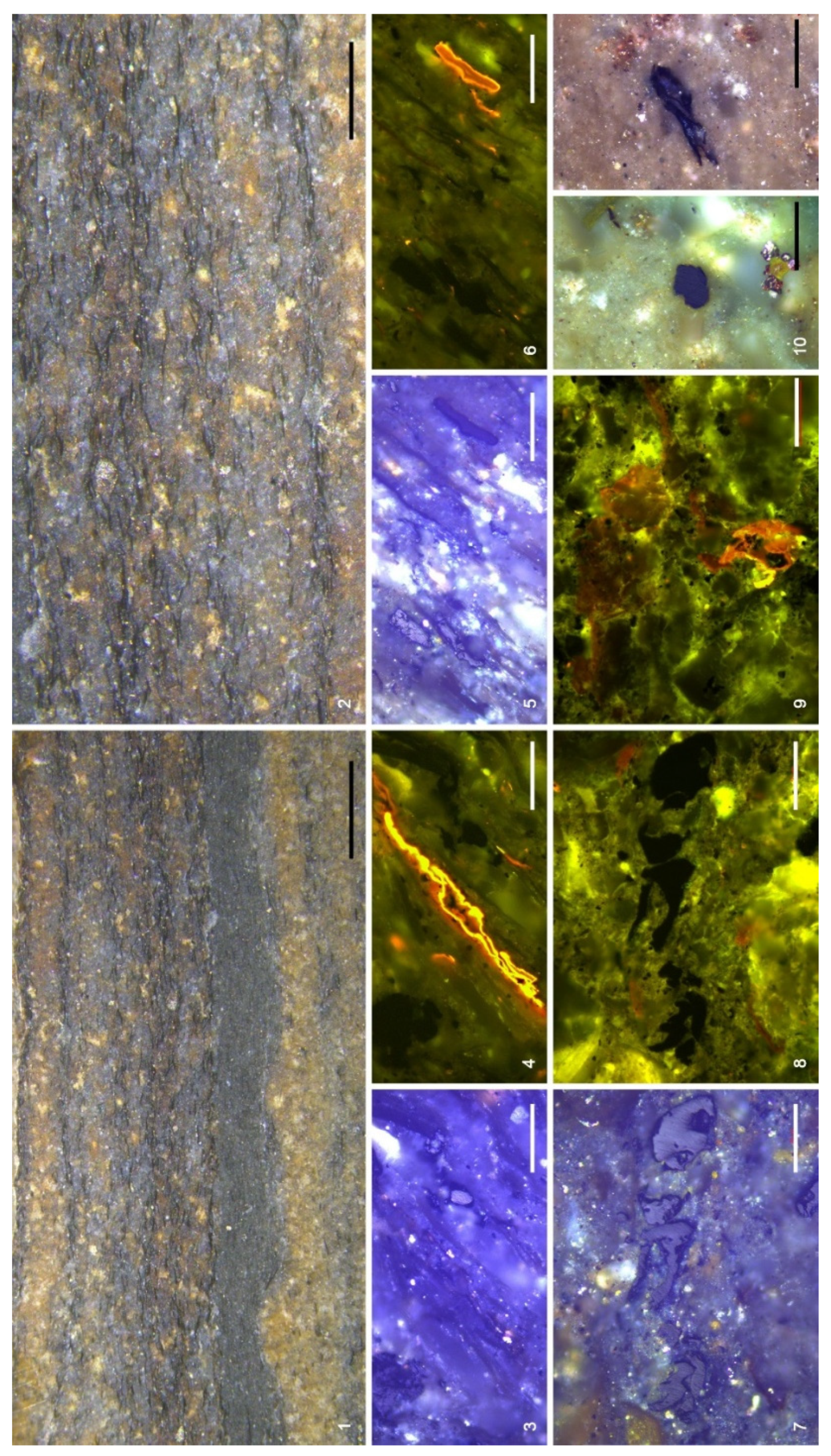 Preprints 204740 g013