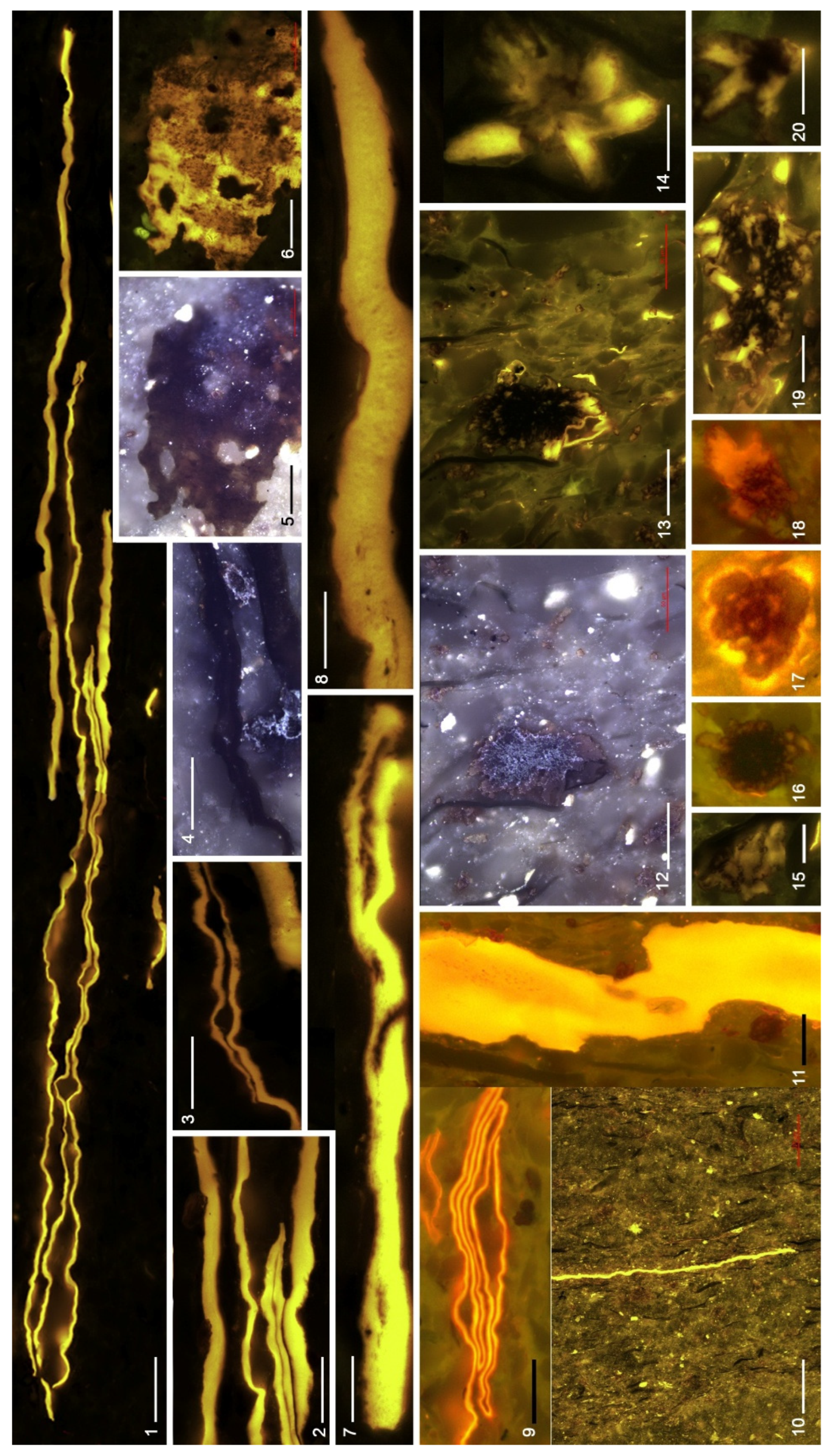 Preprints 204740 g014