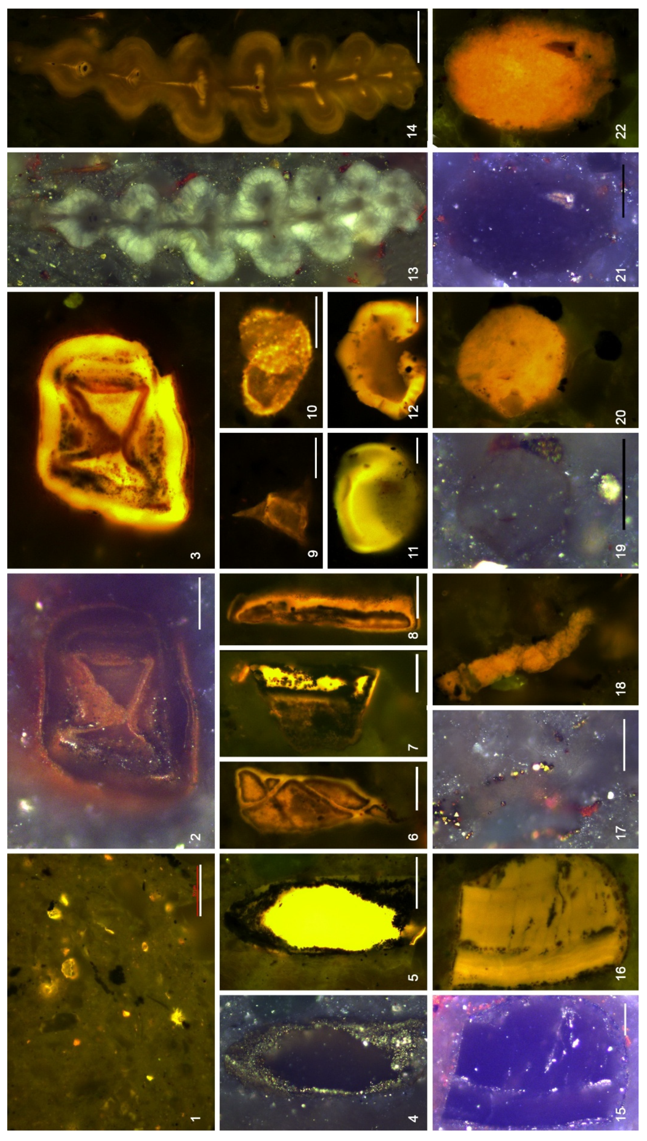 Preprints 204740 g017