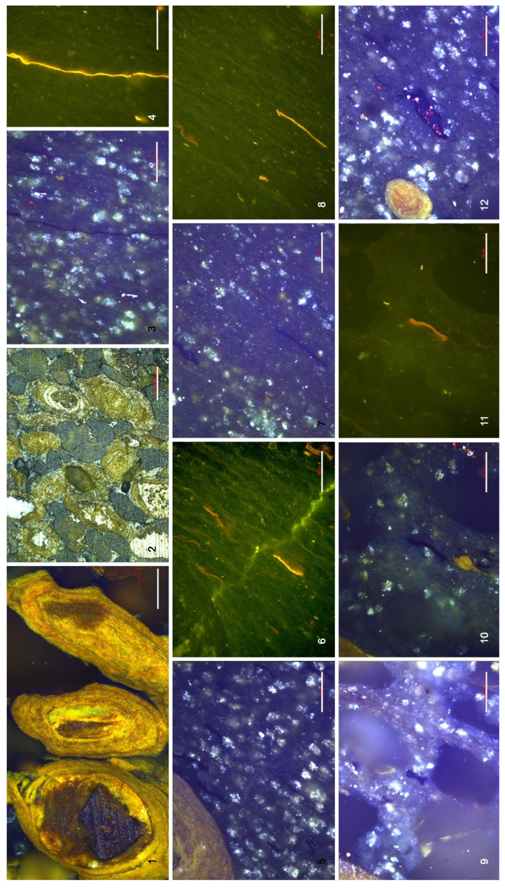 Preprints 204740 g018