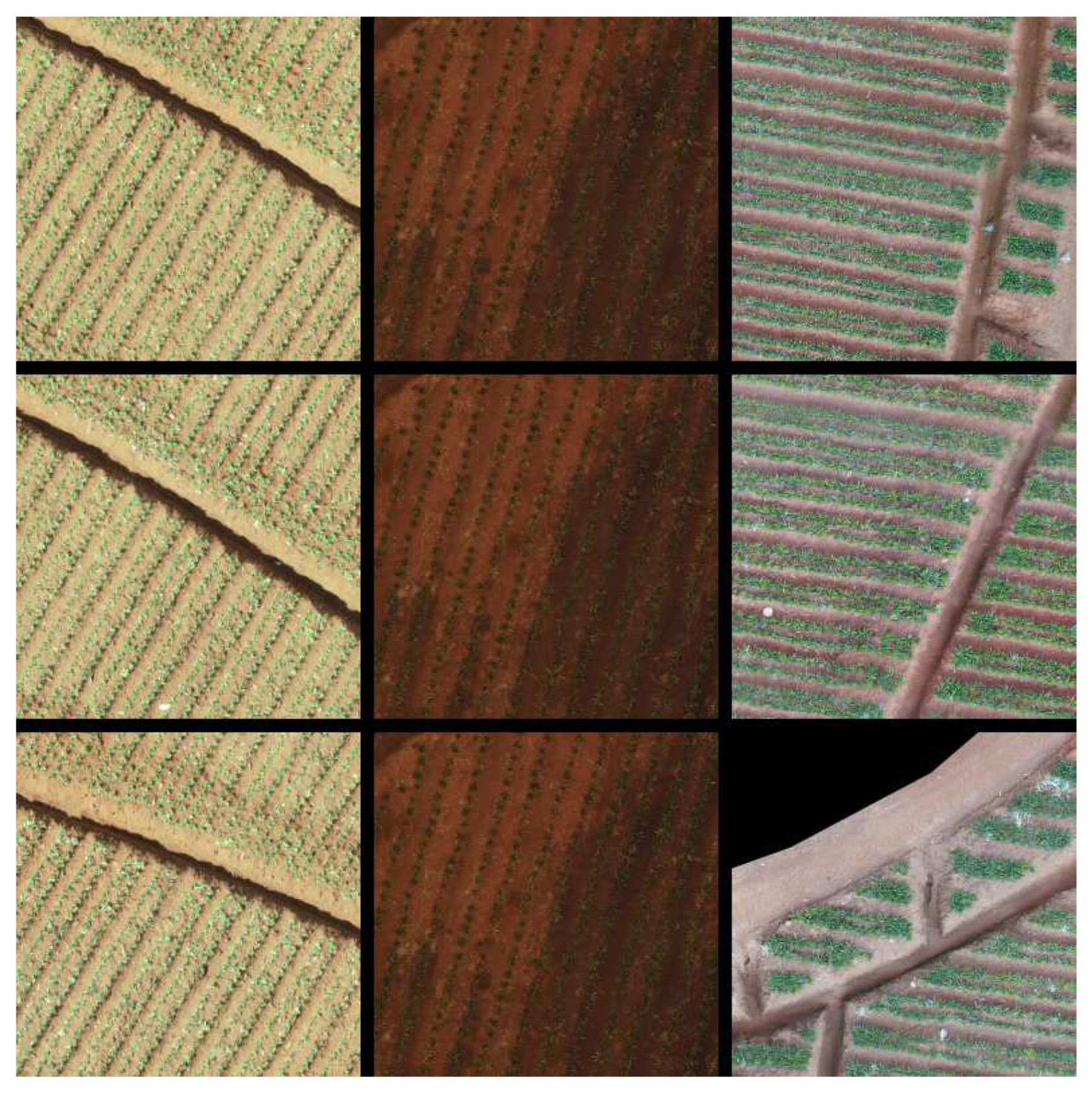 Preprints 68230 g001