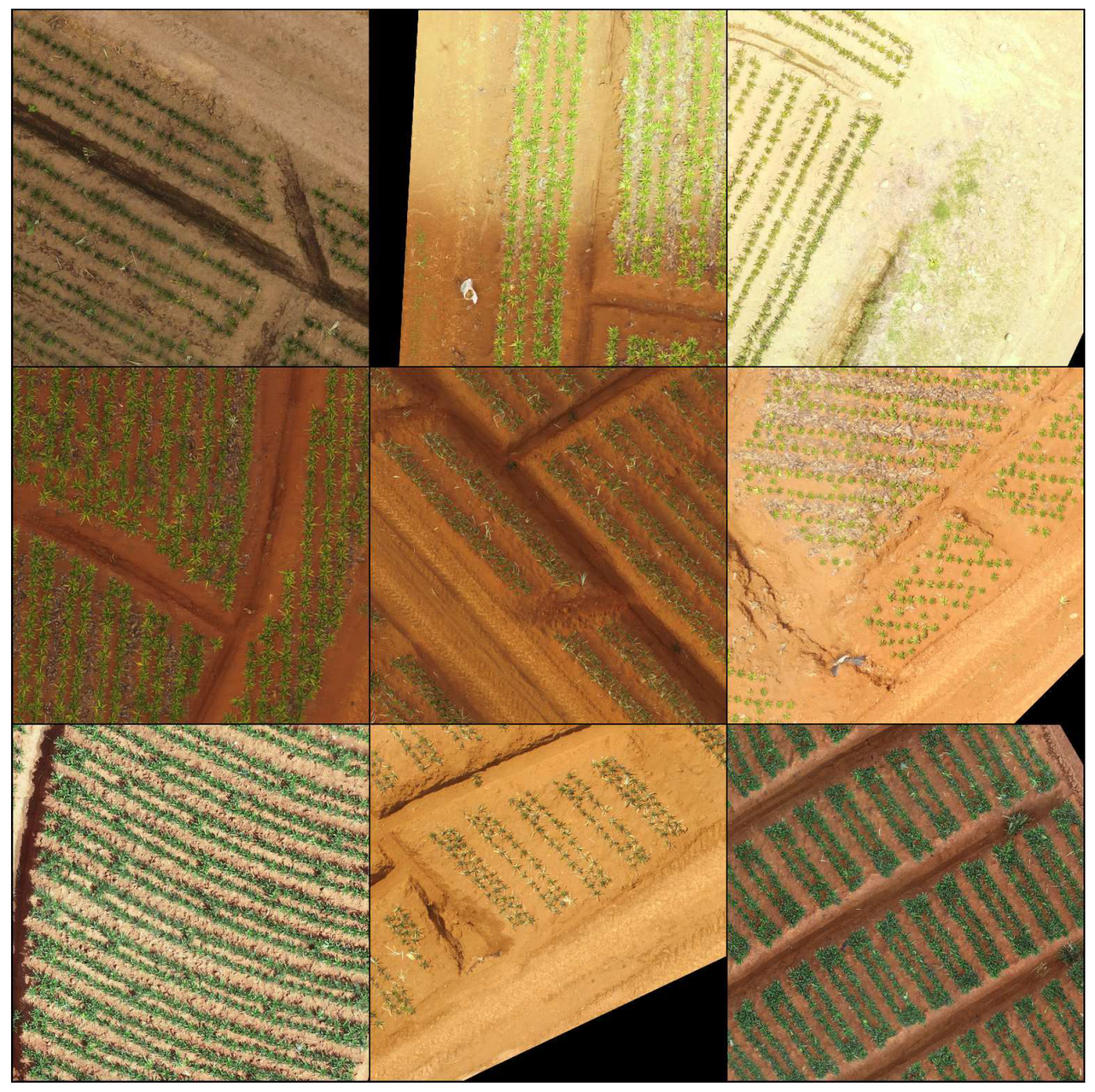 Preprints 68230 g005