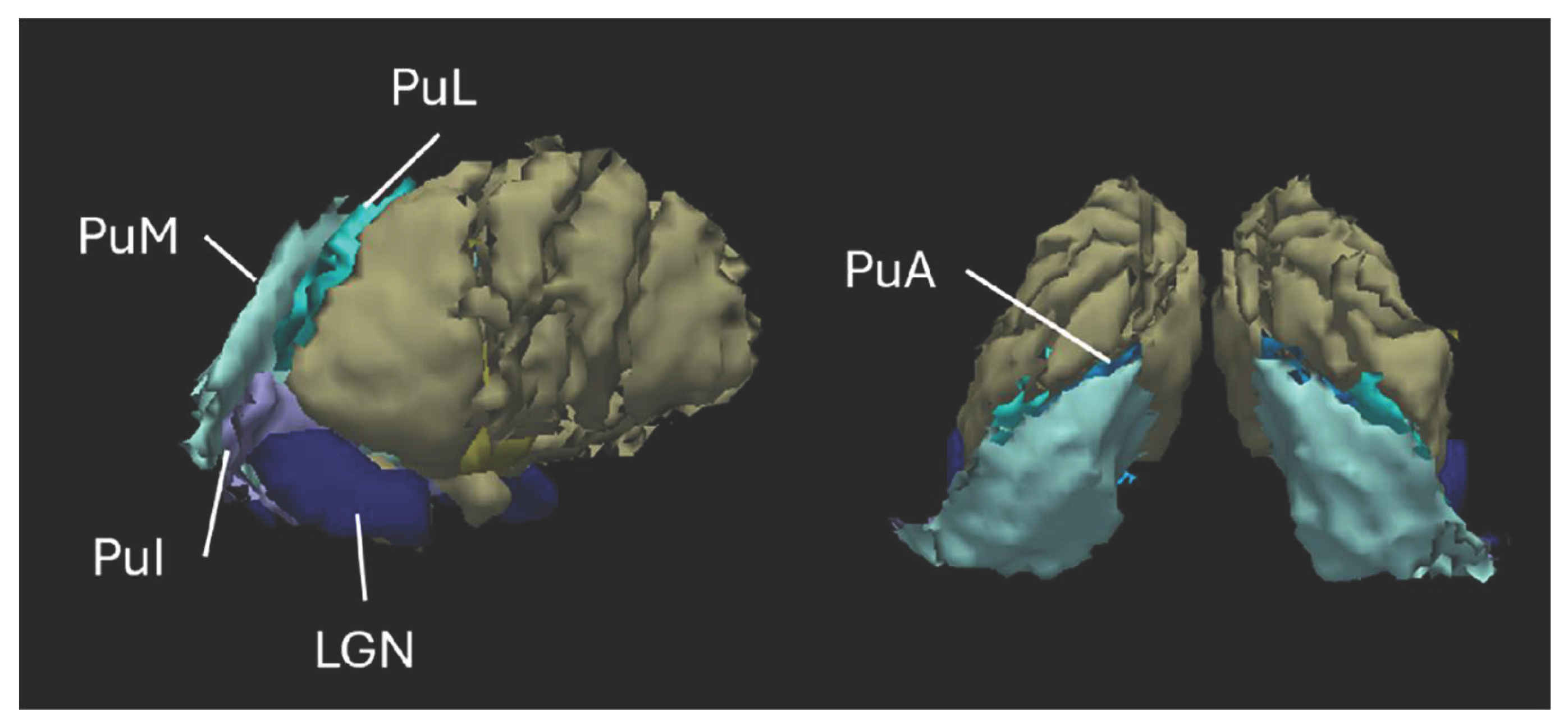 Preprints 190065 g001