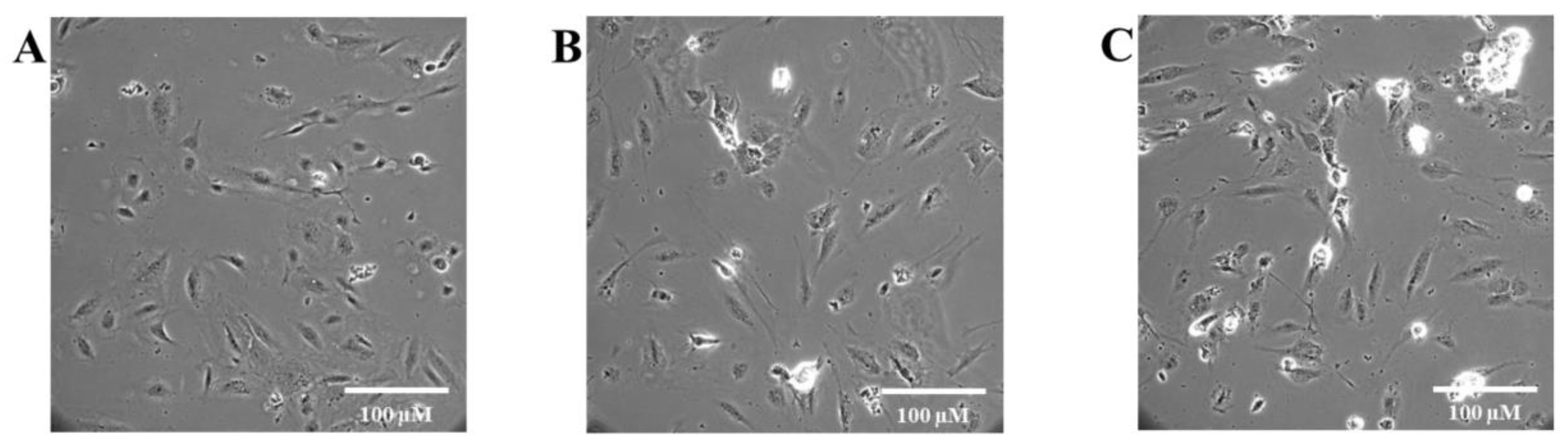 Preprints 204556 g003