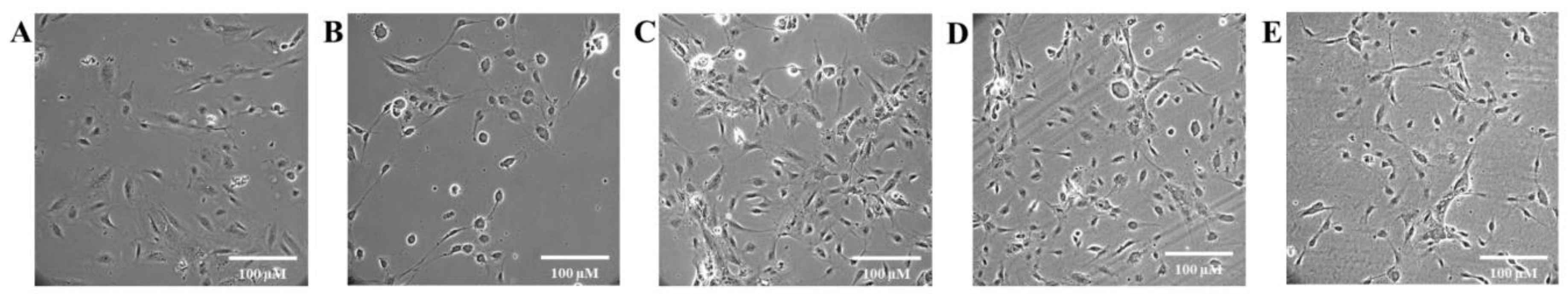 Preprints 204556 g005