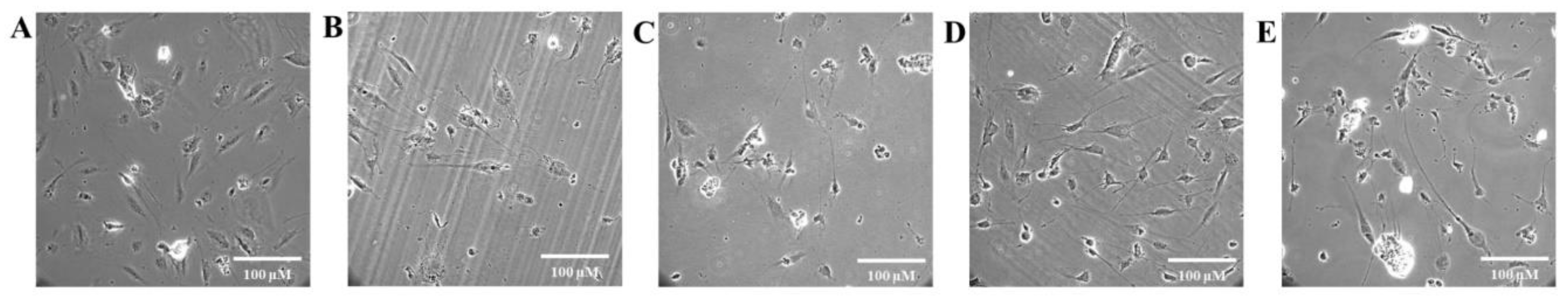 Preprints 204556 g006