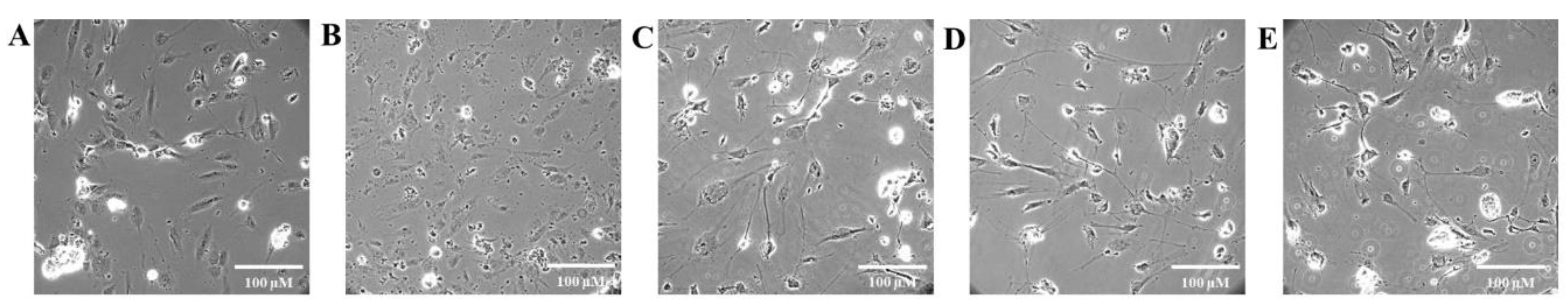 Preprints 204556 g007