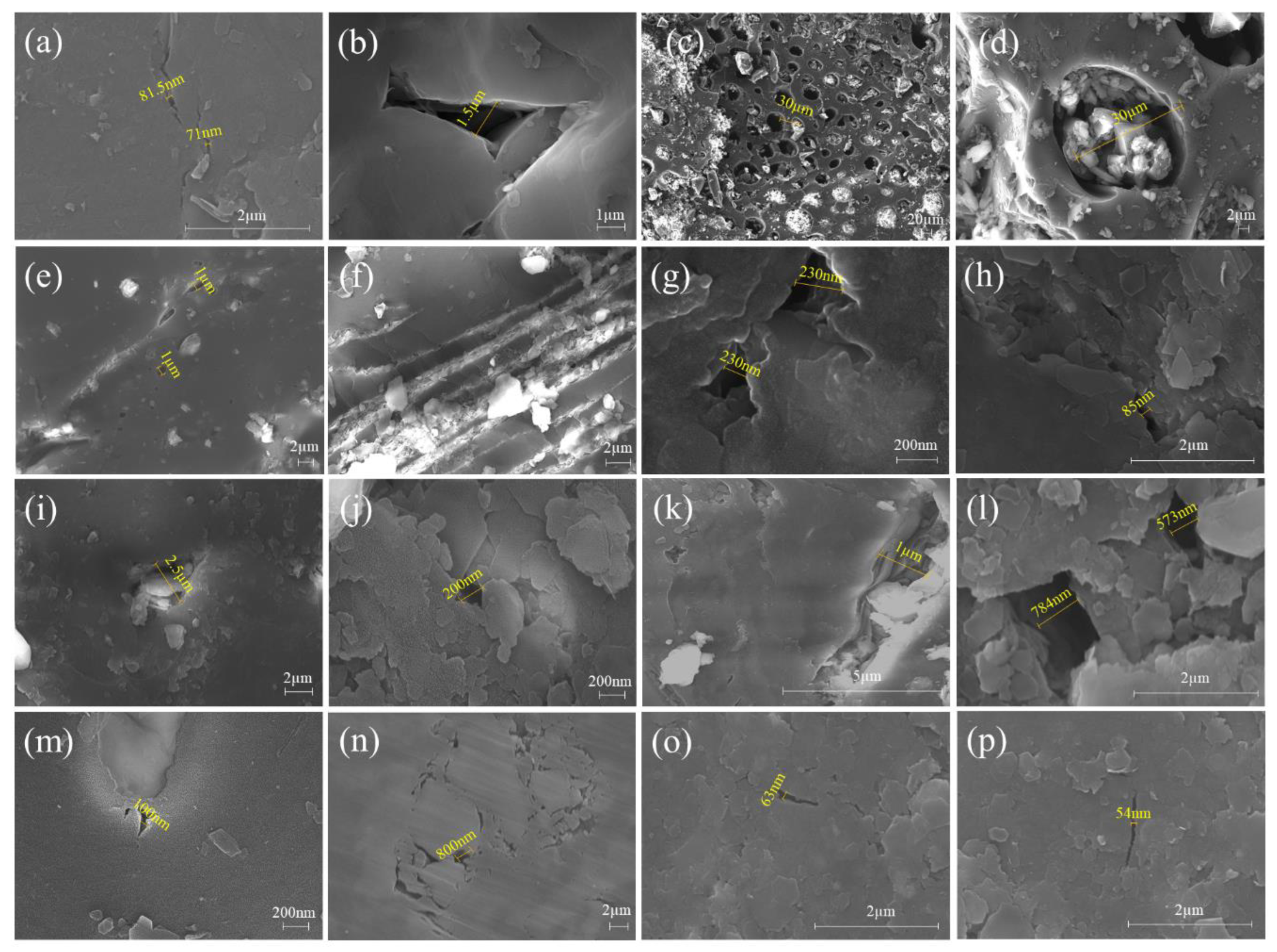 Preprints 87618 g005