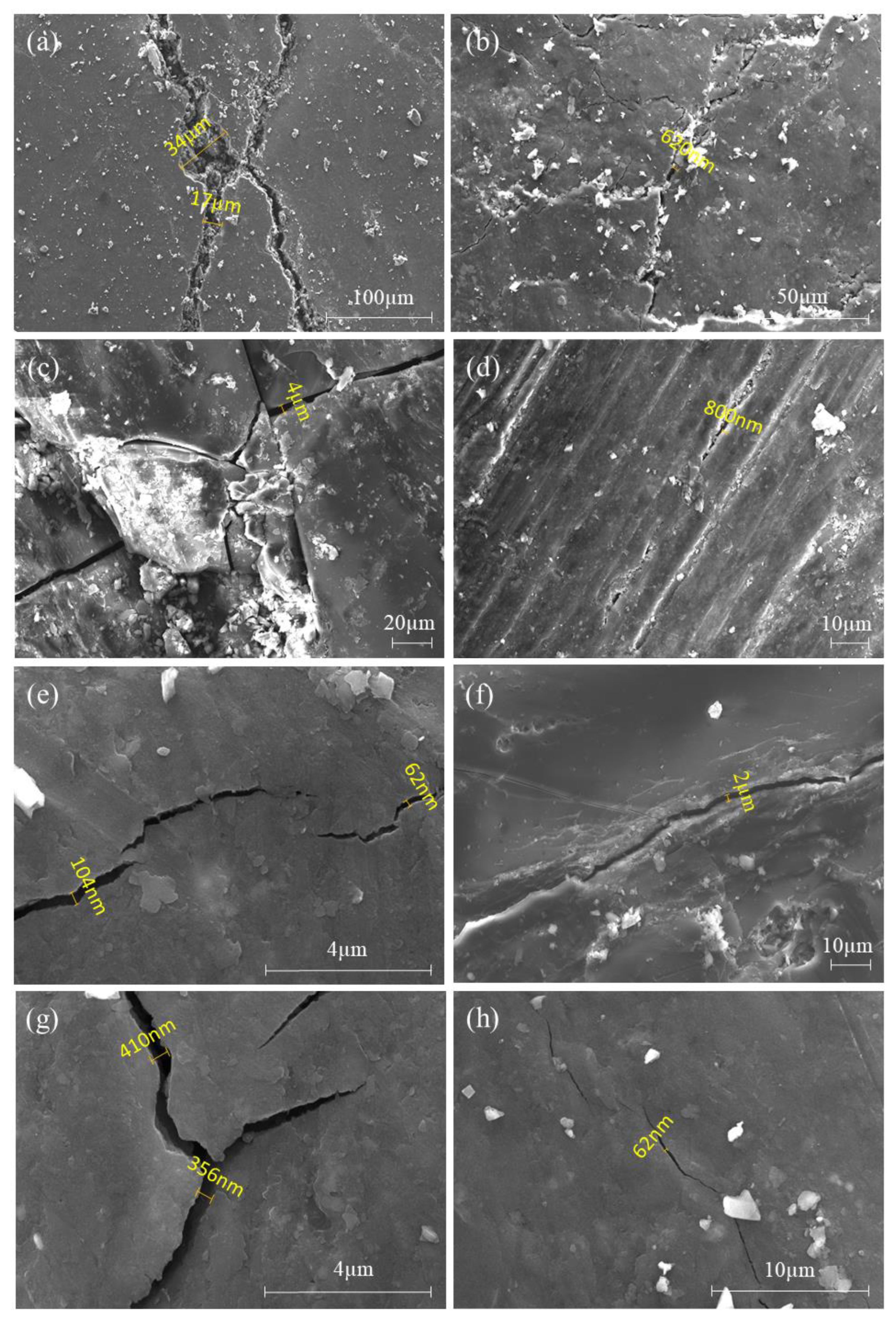 Preprints 87618 g006