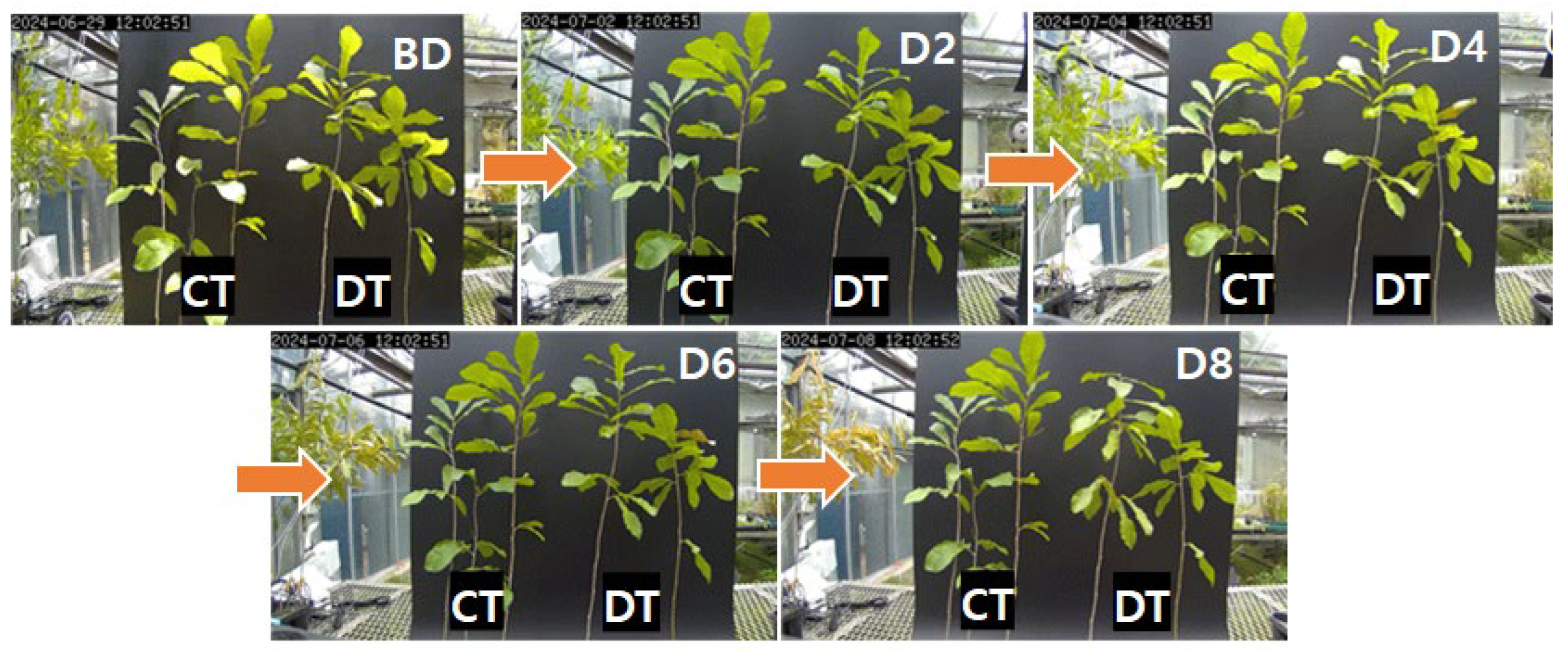 Preprints 193929 g002